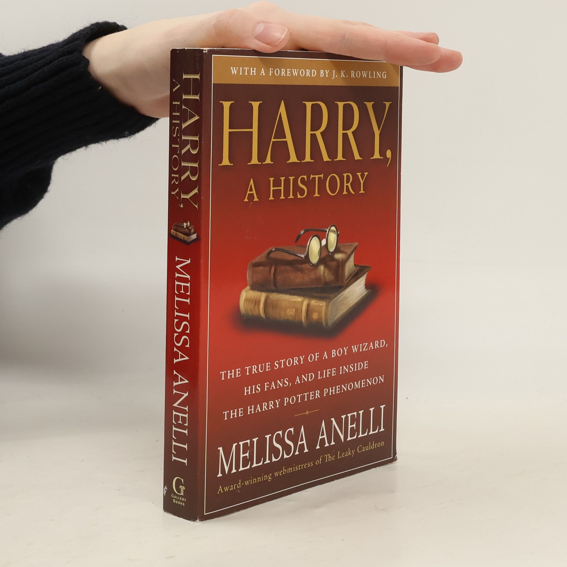 Melissa Anelli Harry, A History
