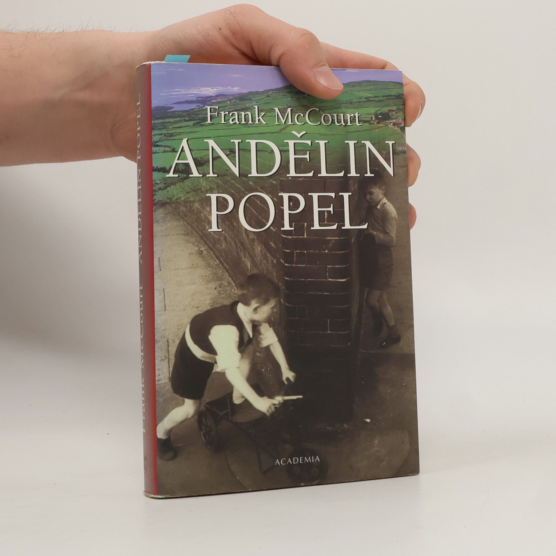 Frank McCourt Andělin popel