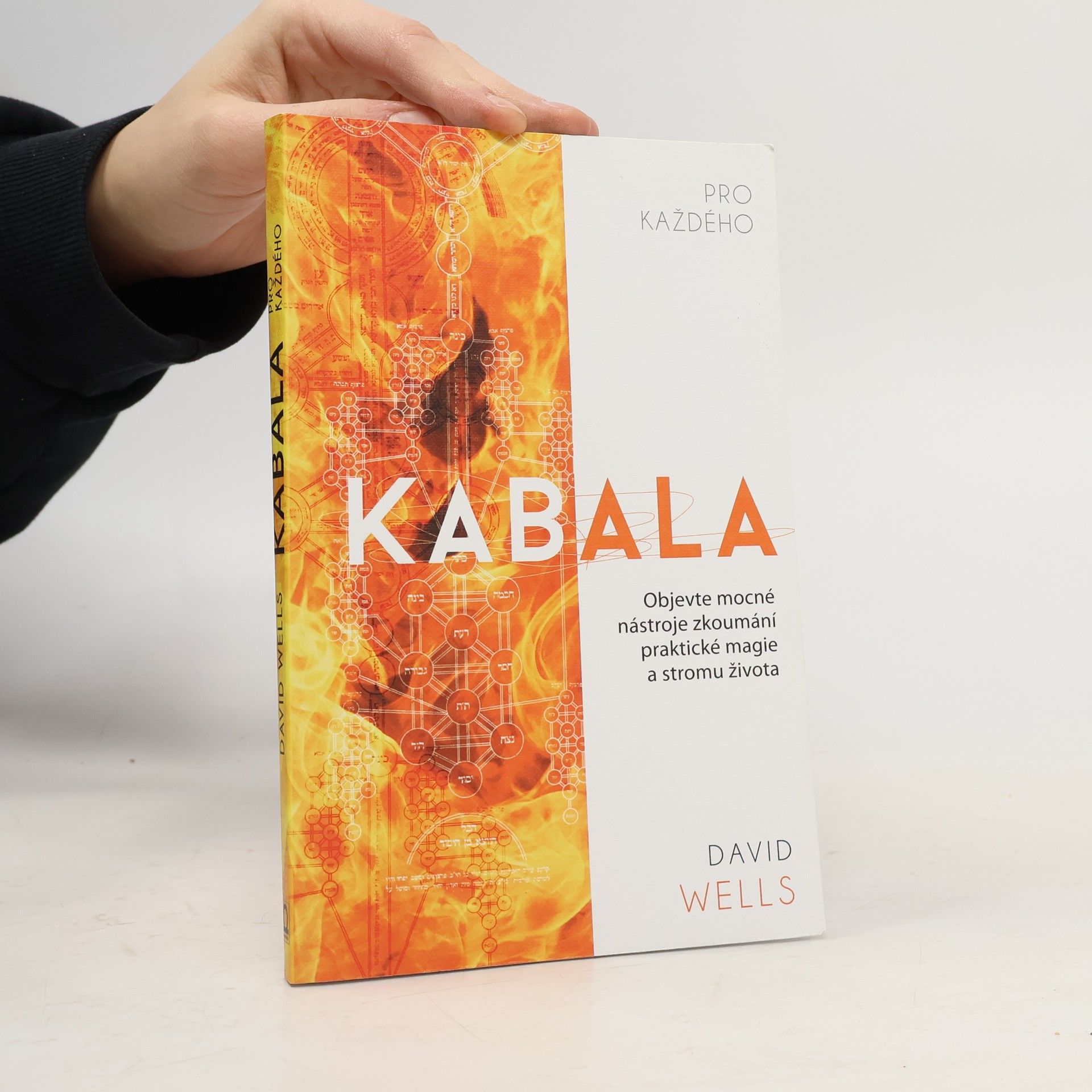 David Wells Kabala pro každého: Objevte mocné nástroje zkoumání praktické magie a stromu života