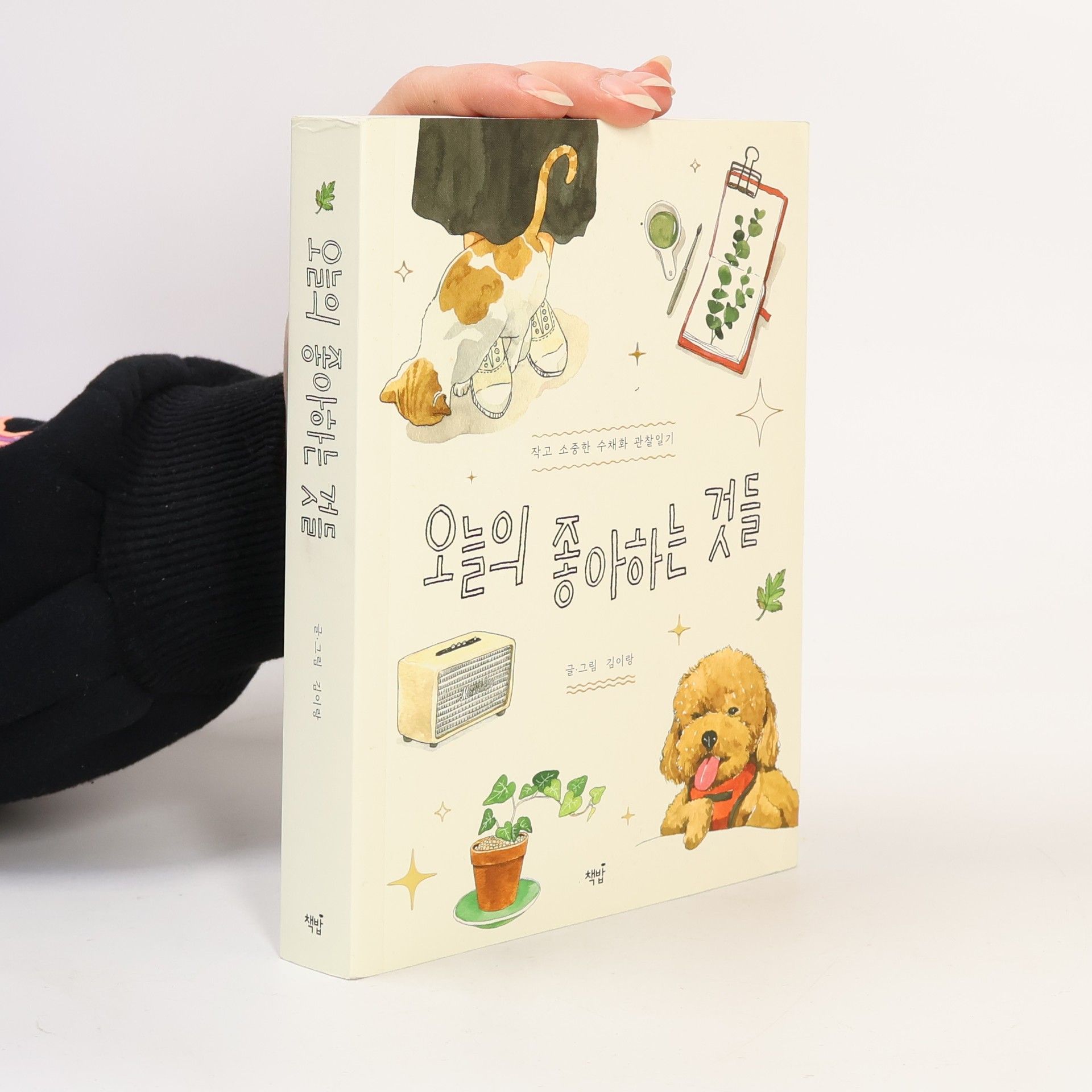 김이량 오늘의 좋아하는 것들