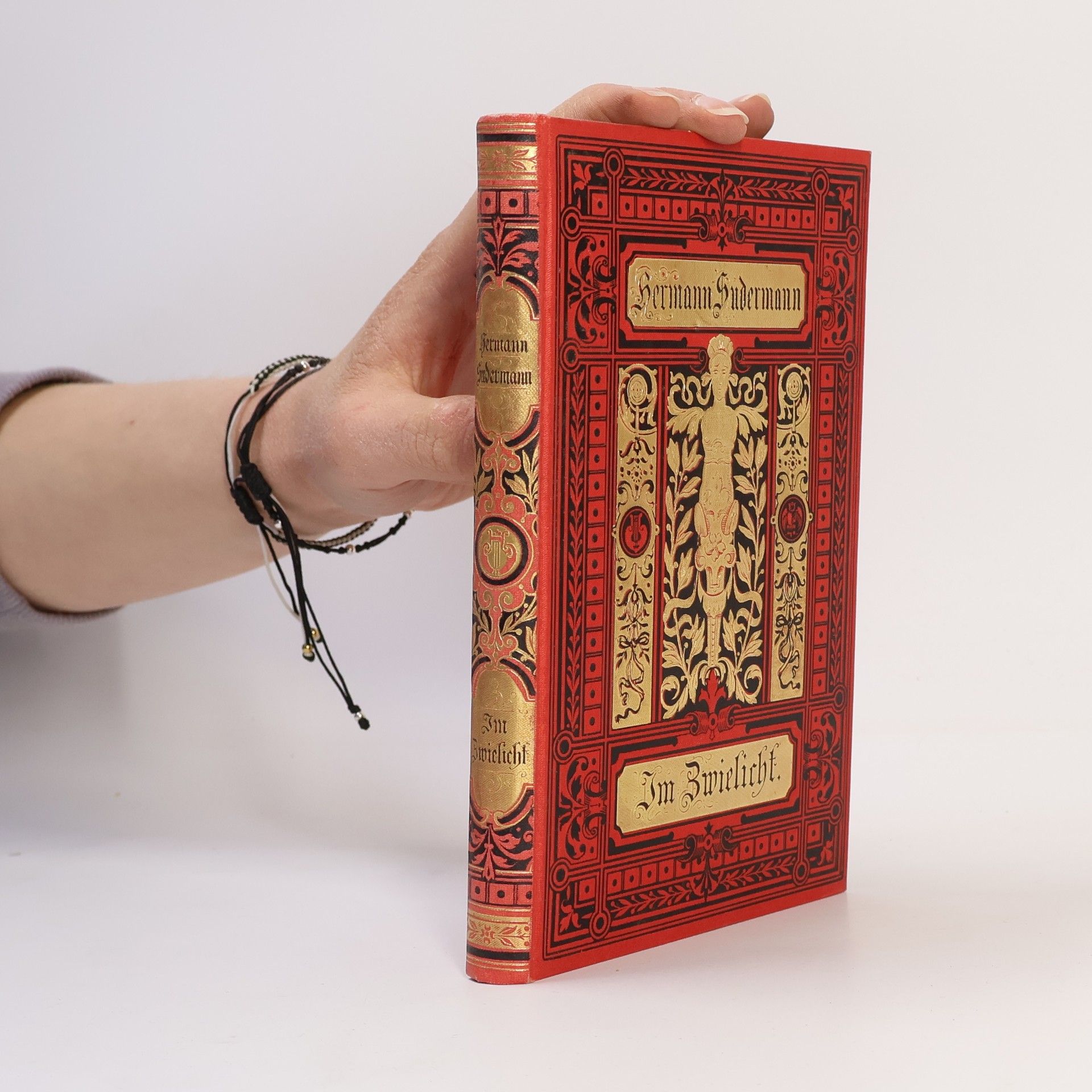 Hermann Südermann Im Zwielicht