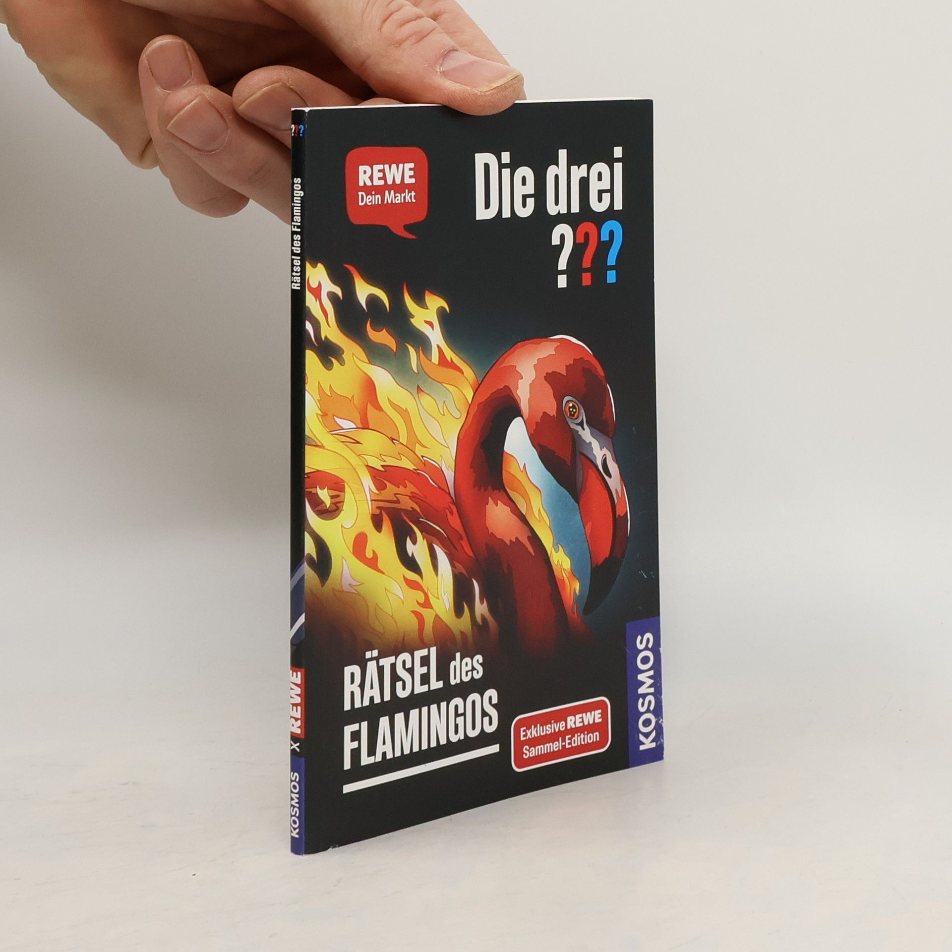 Andreas Ruch Die drei??? Rätsel des Flamingos