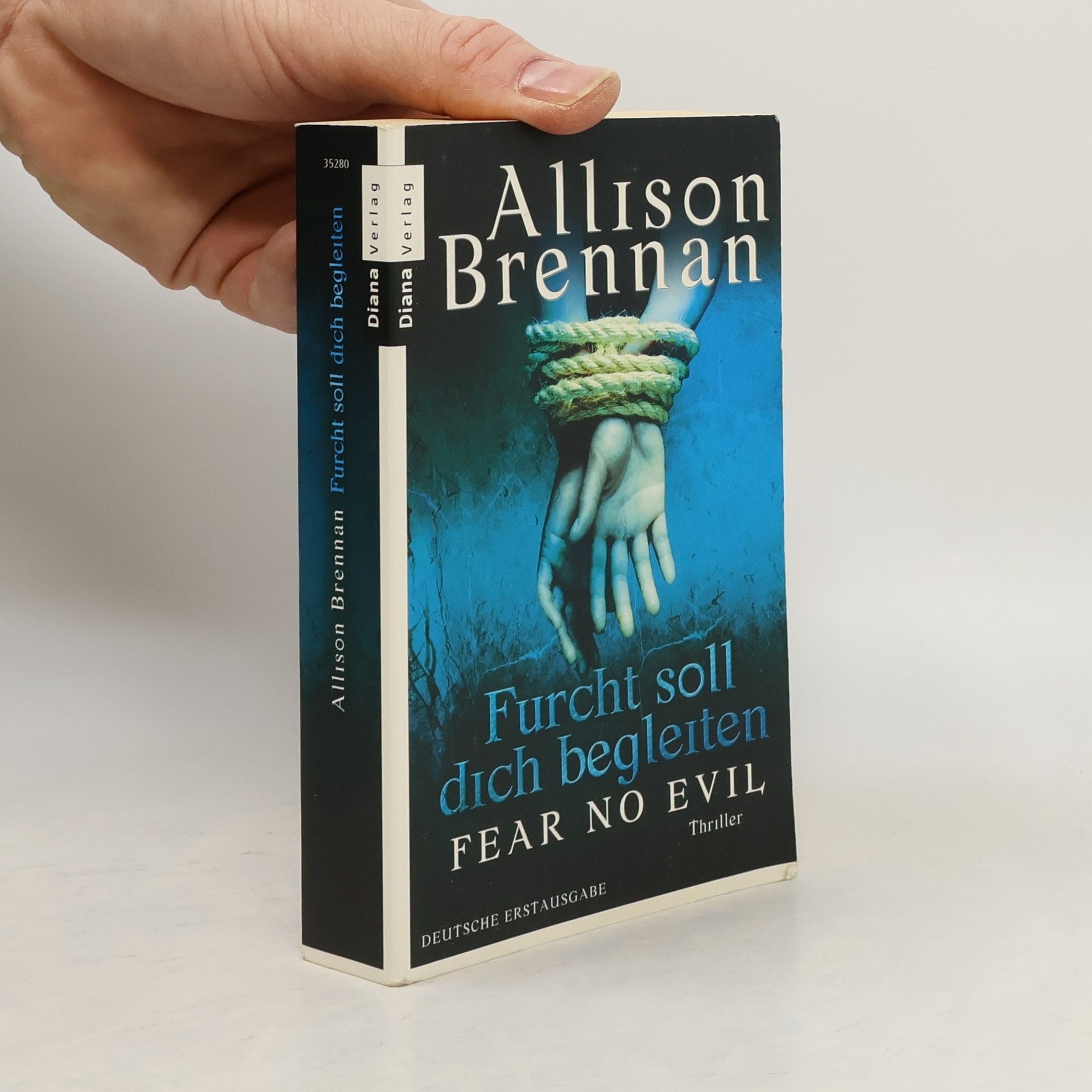 Allison Brennan Furcht soll dich begleiten