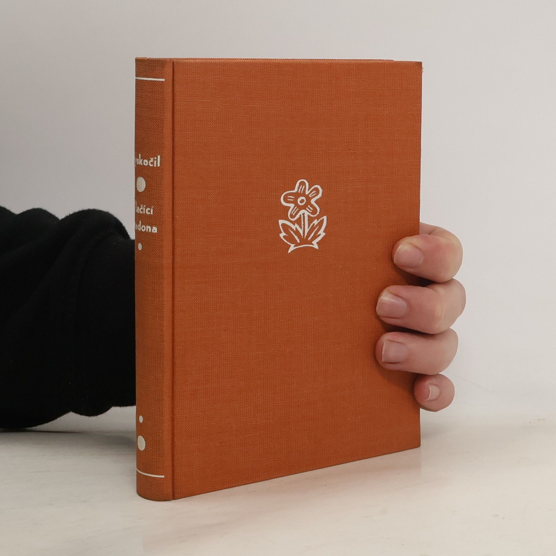 Quido Maria Vyskočil Plačící Madona. Zázrak zázraků