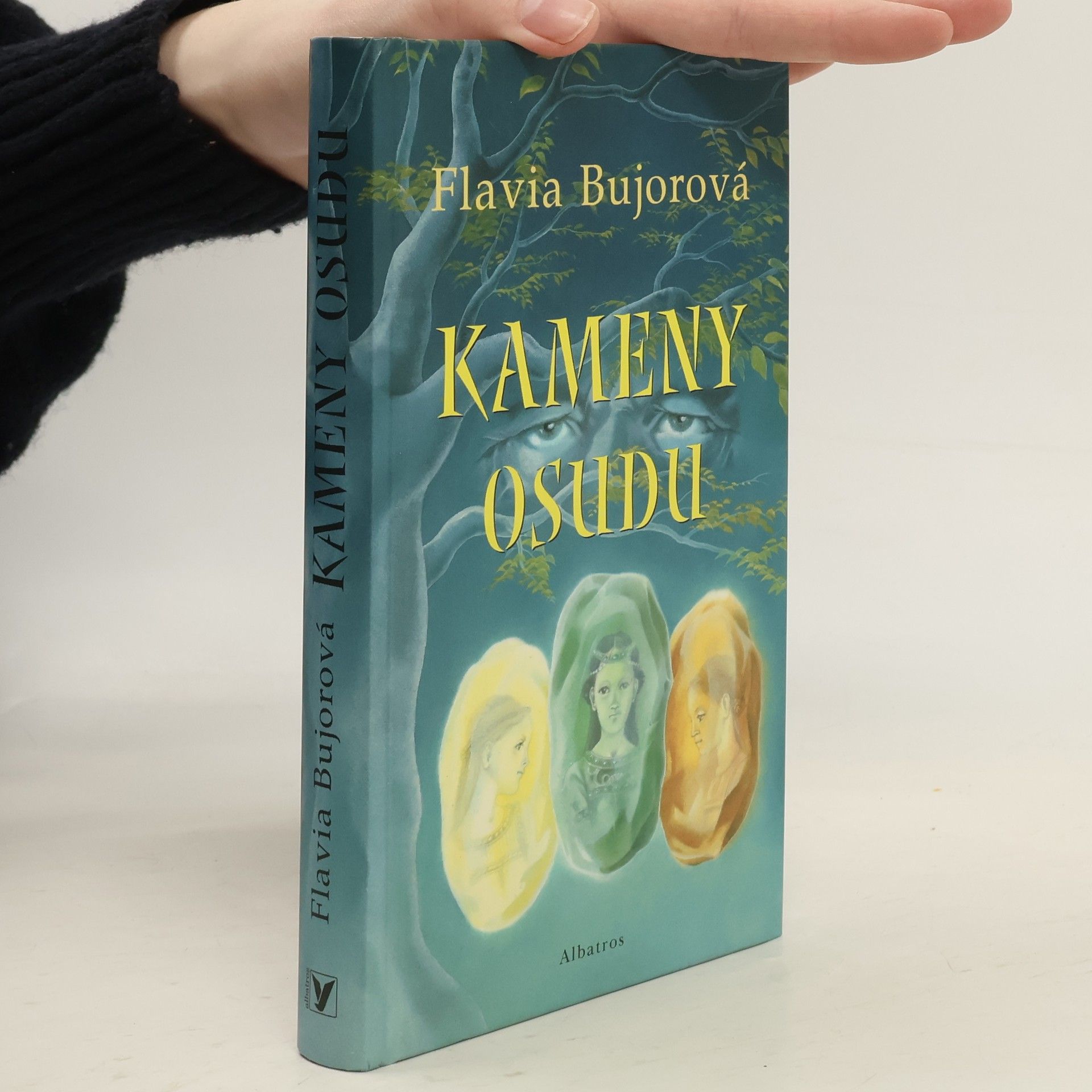 Flavia Bujor Kameny osudu