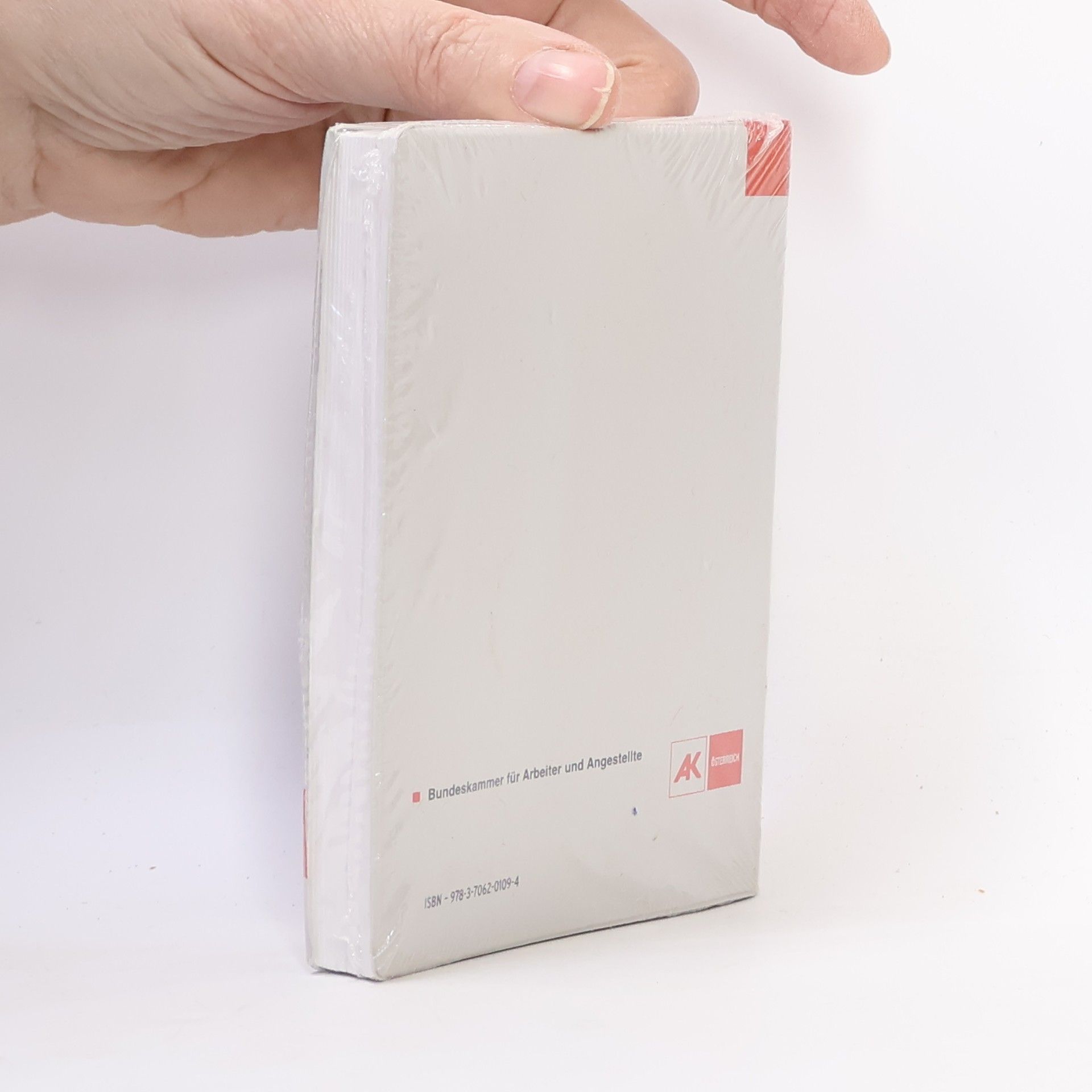 Wirtschafts- und Sozialstatistisches Taschenbuch 2010