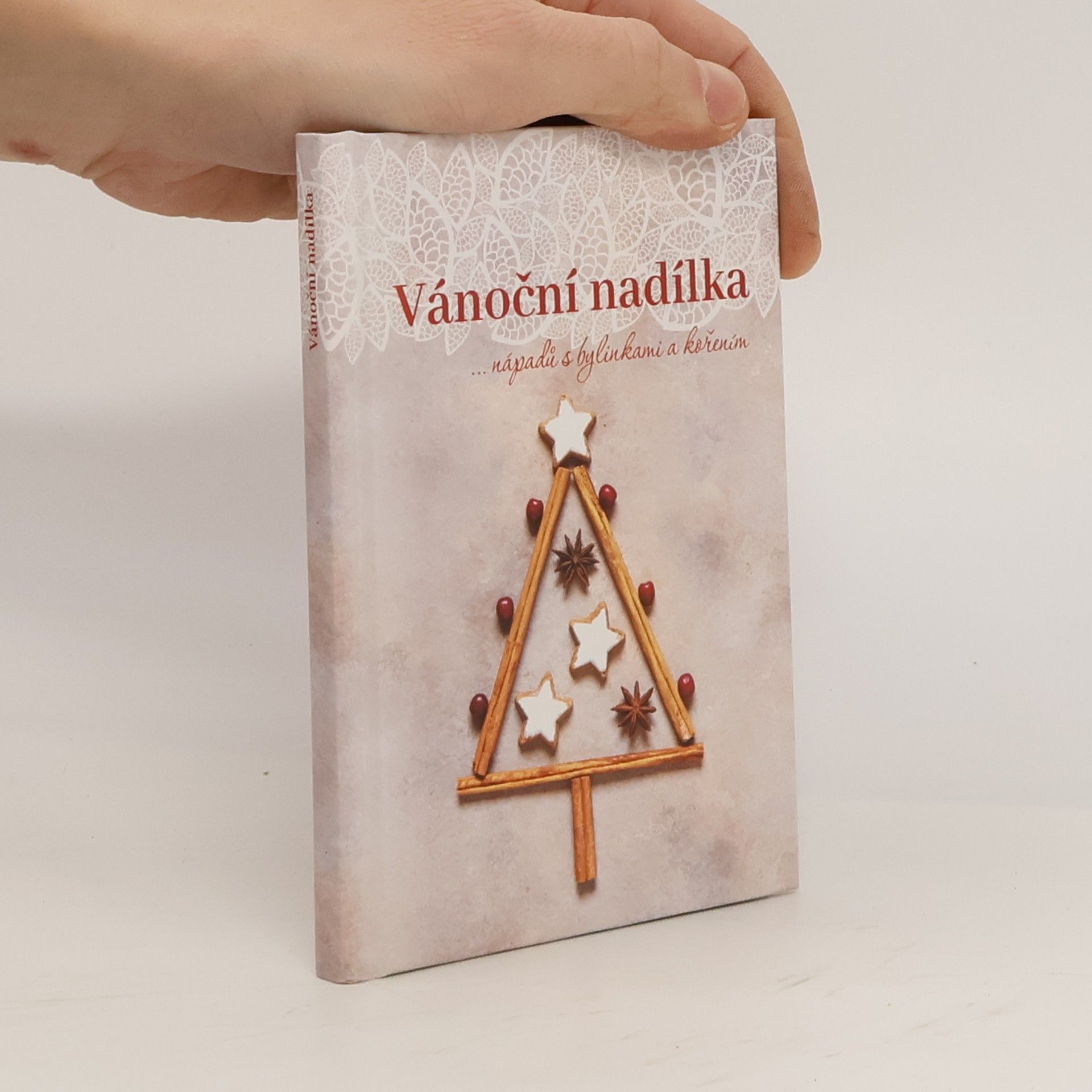 Dagmar Pinkasová Vánoční nadílka...nápadů s bylinkami a kořením