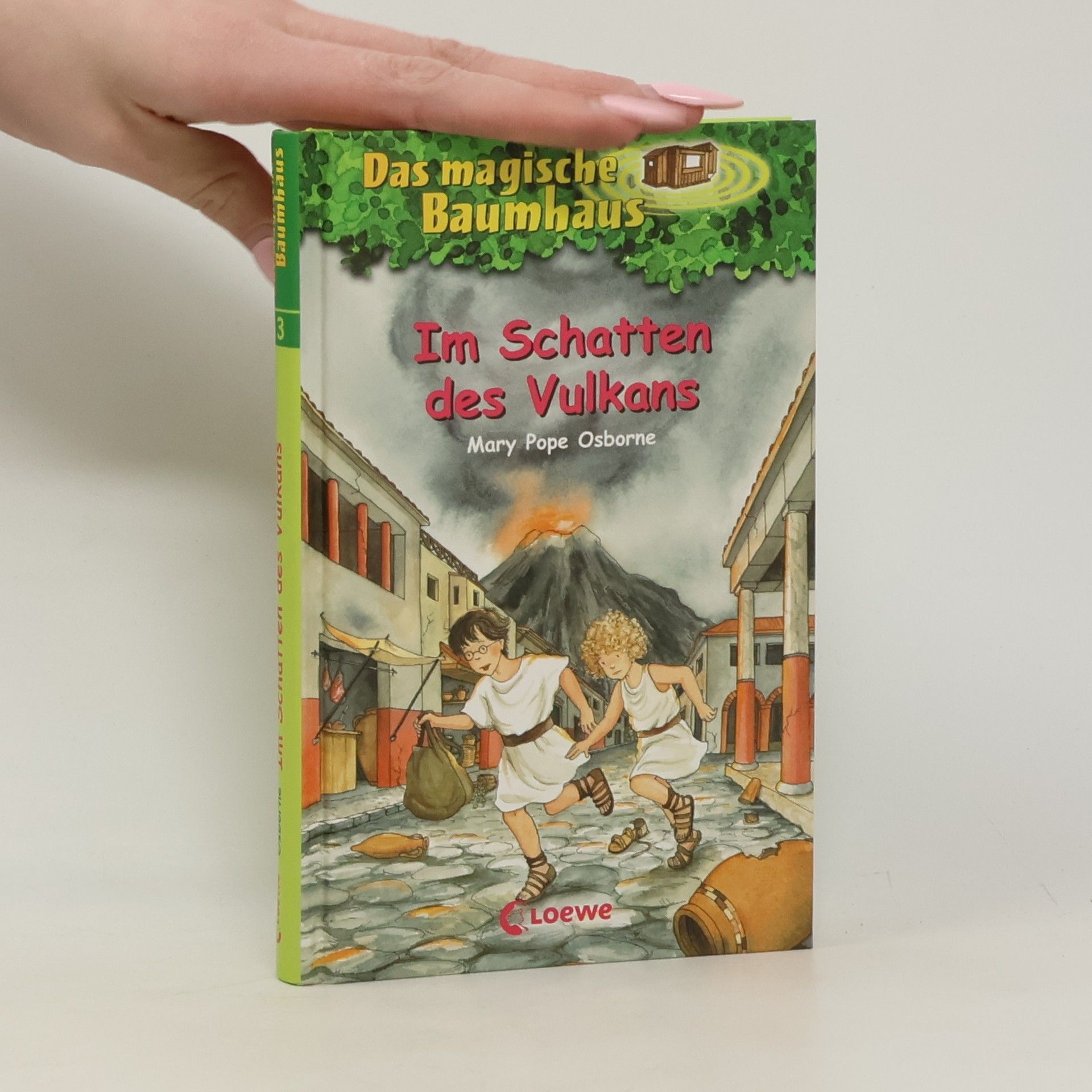 Sabine Rahn Im Schatten des Vulkans