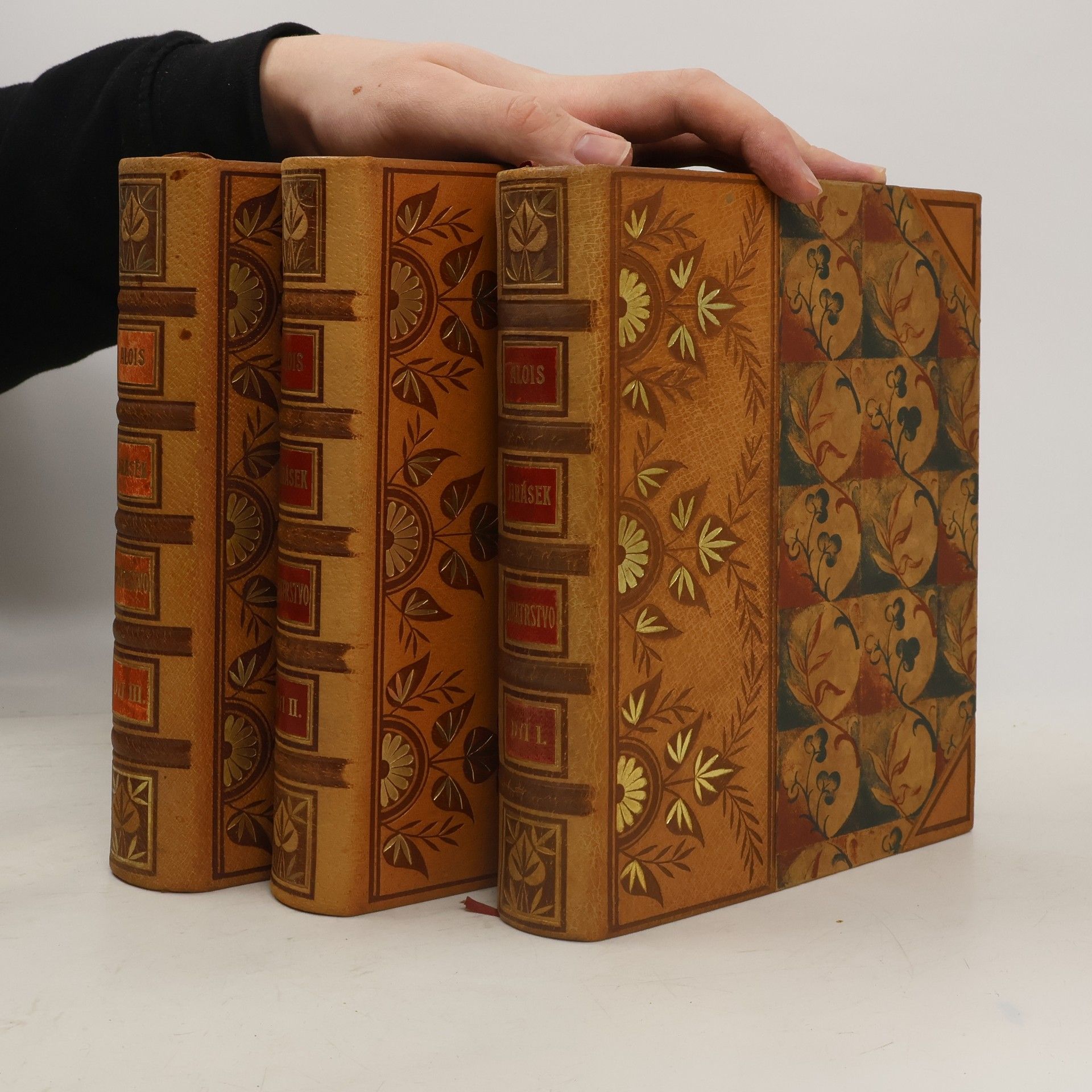 Bratrstvo (1.-3. díl, 3 svazky)