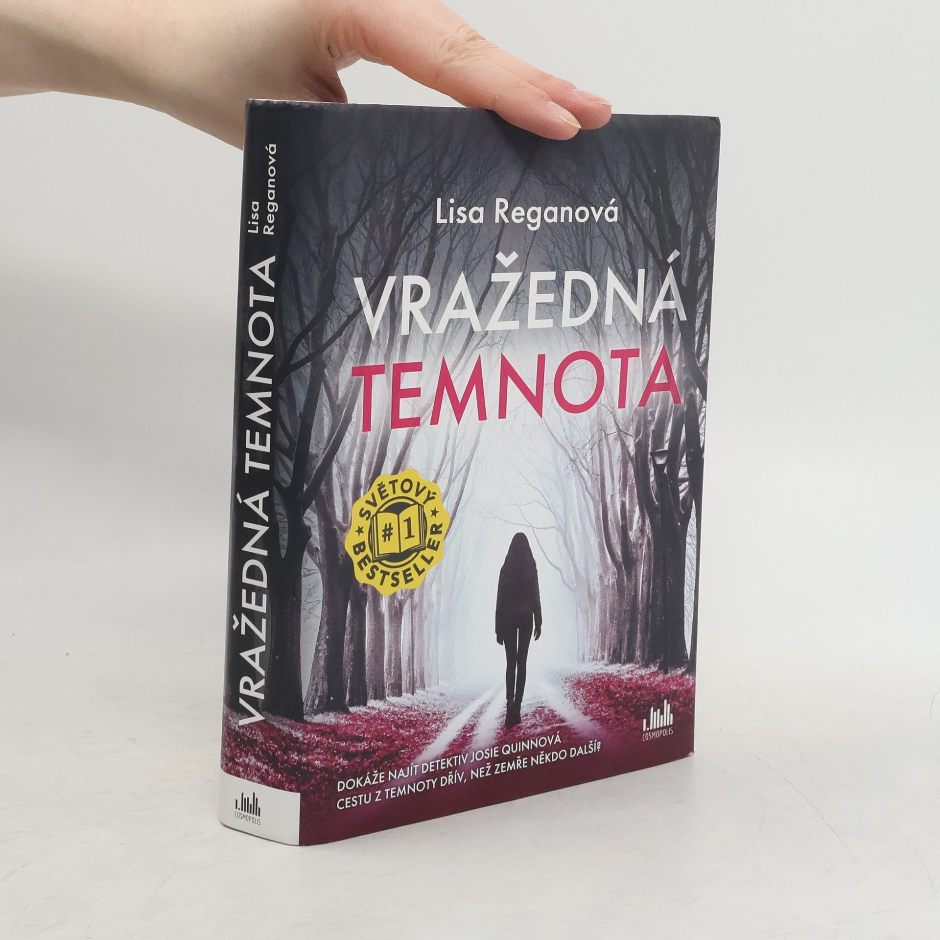 Lisa Regan Vražedná temnota