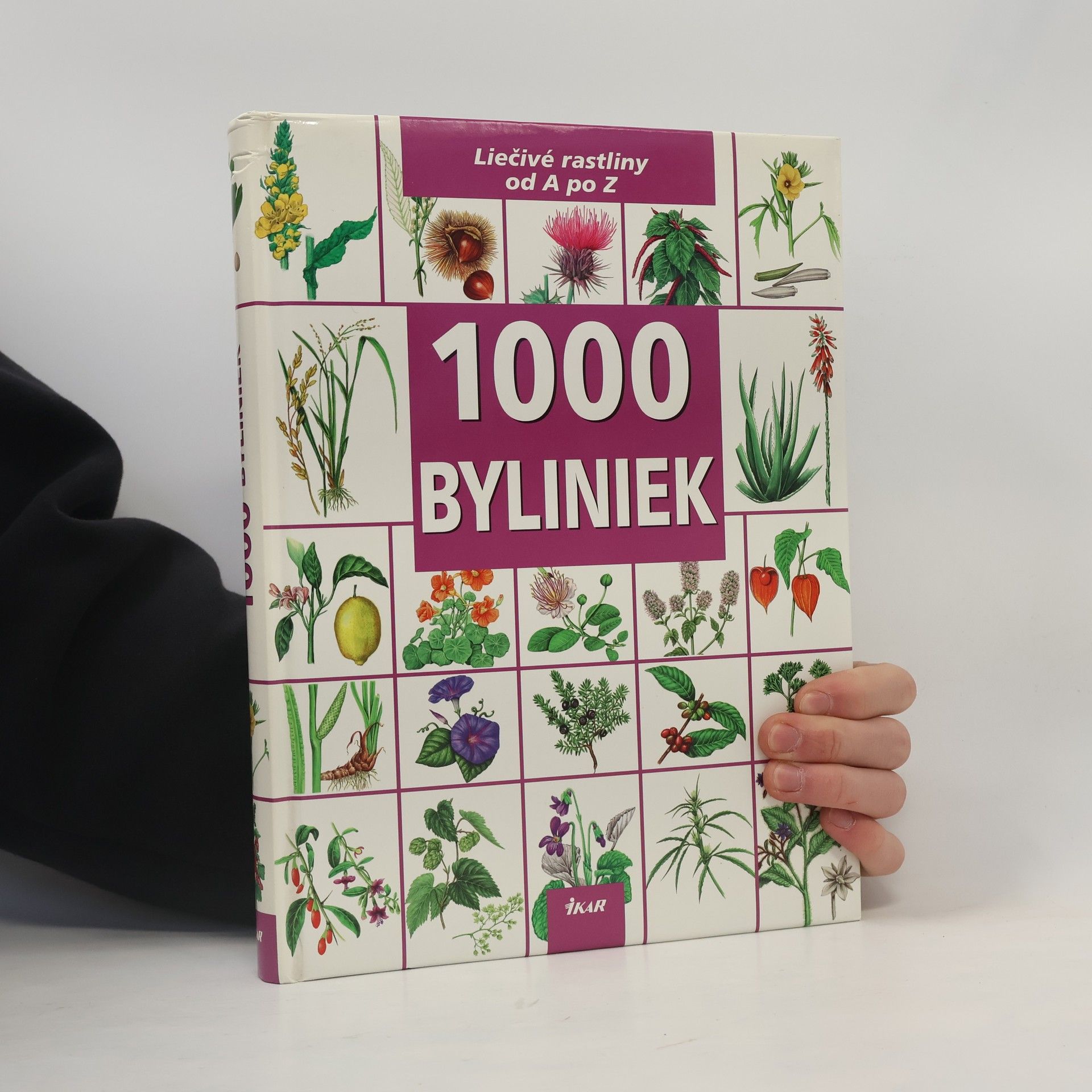 Hnas W. Kothe 1000 byliniek
