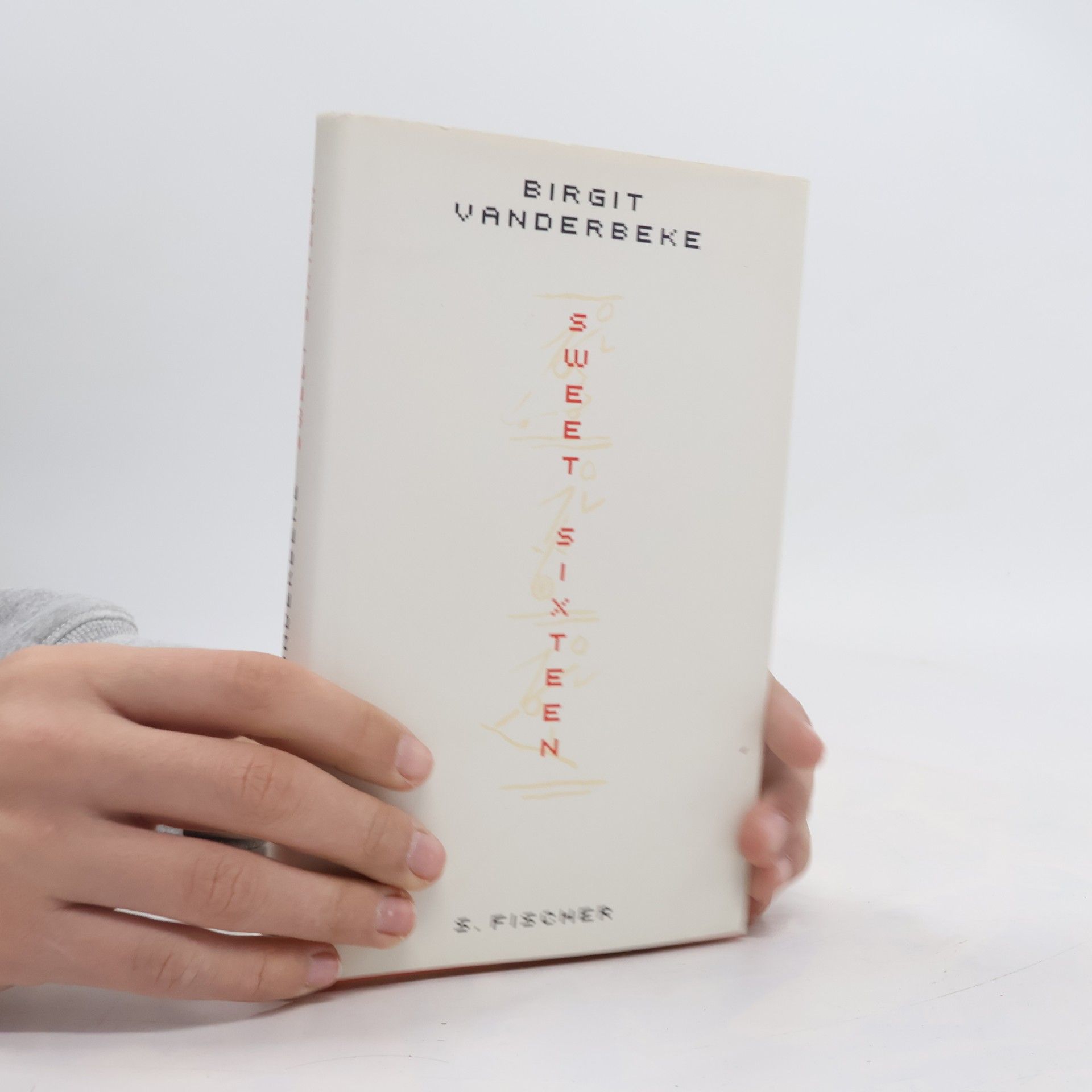 Birgit Vanderbeke Sweet sixteen