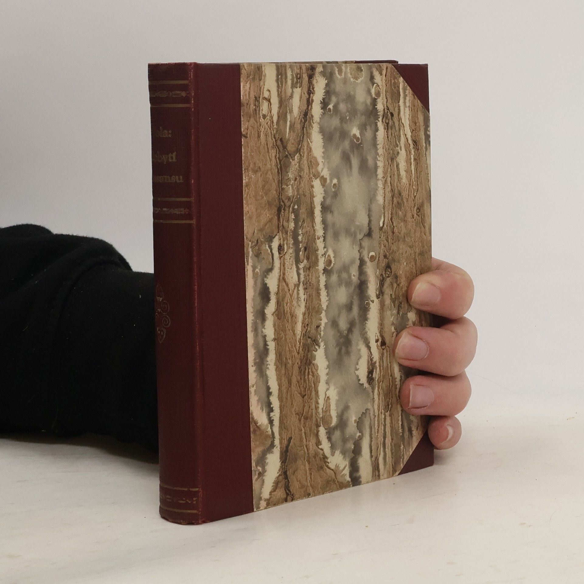 Émile Zola Dobytí Plassansu