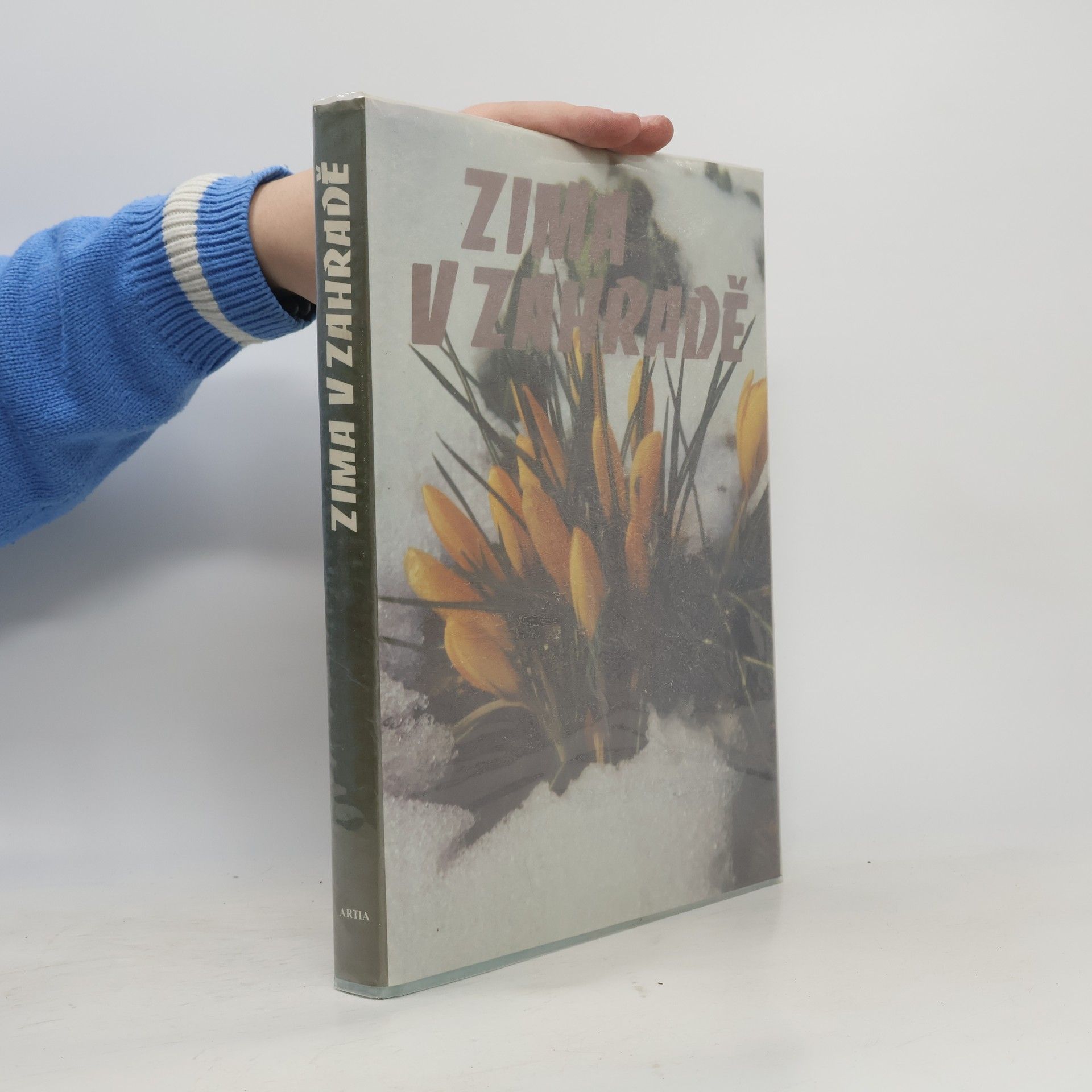 Autorenkollektiv Zima v zahradě