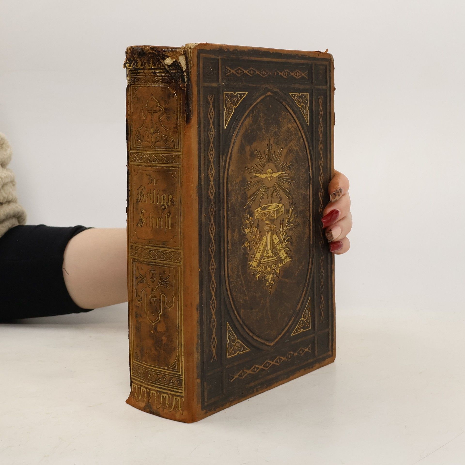 Martin Luther Biblia. Die ganze heilige Schrift