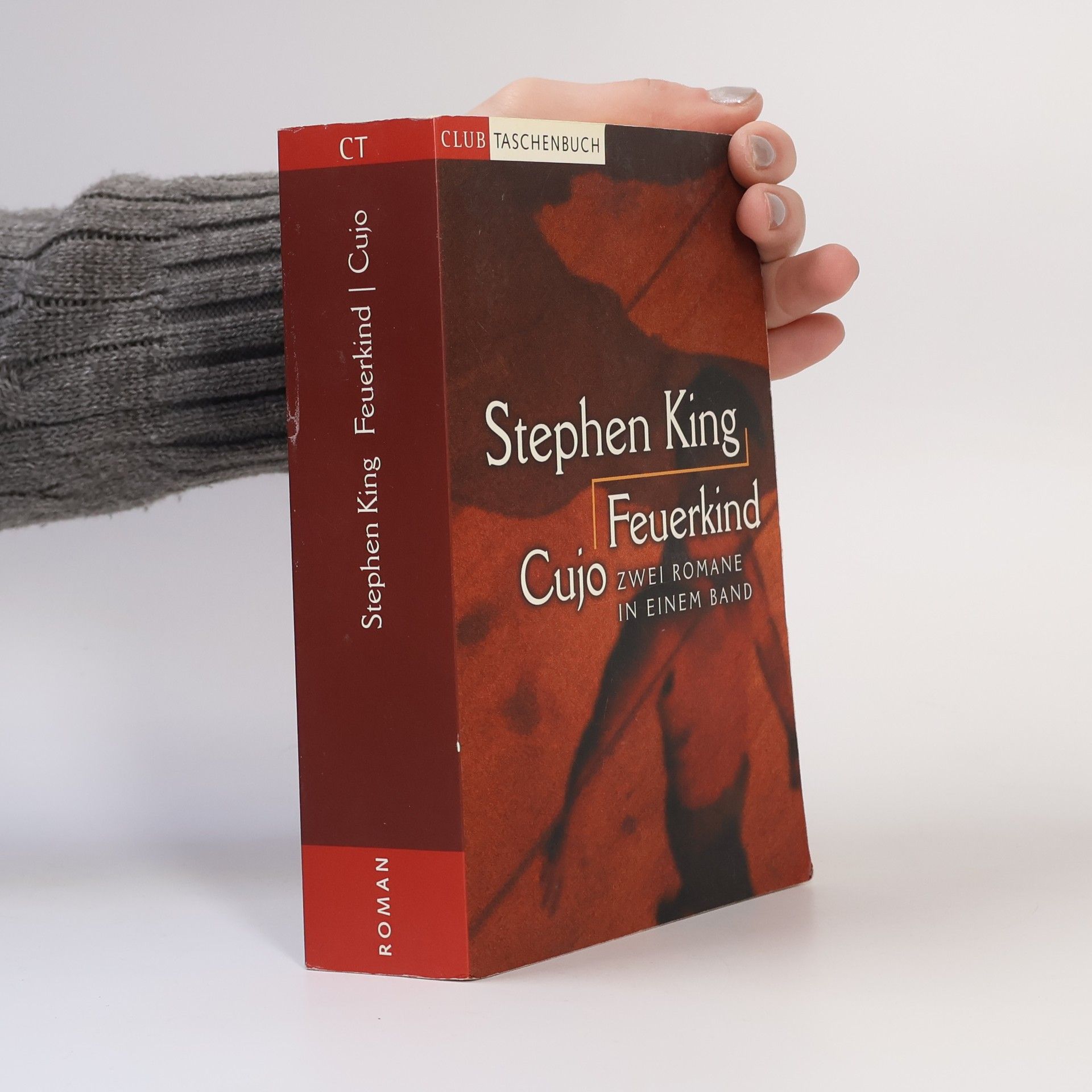 Stephen King Feuerkind. Cujo