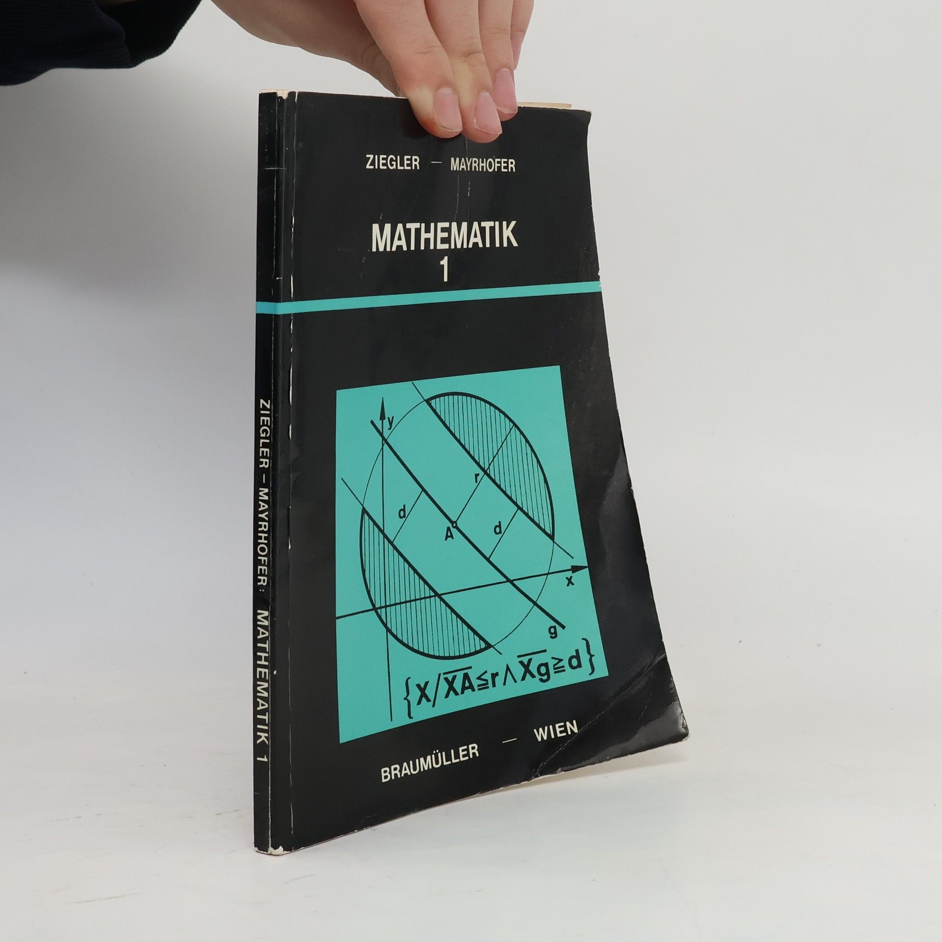 Peter Pernthaler Mathematik für berufsbildende Lehranstalten 1