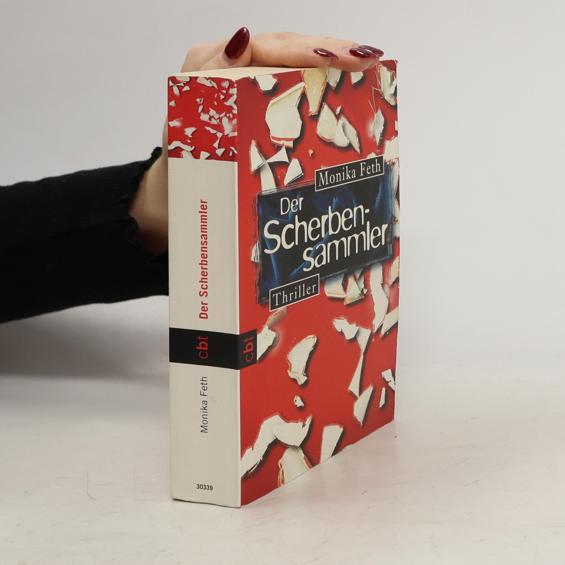 Monika Feth Der Scherbensammler
