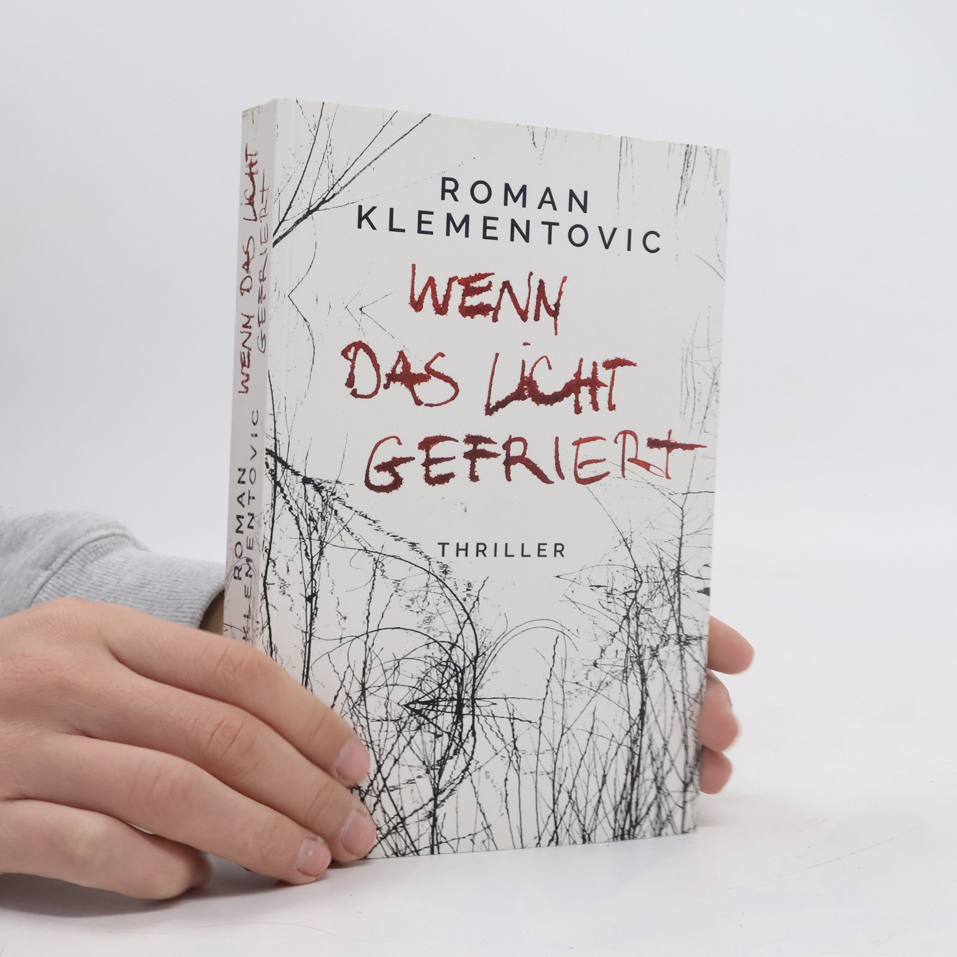 Roman Klementovic Wenn das Licht gefriert