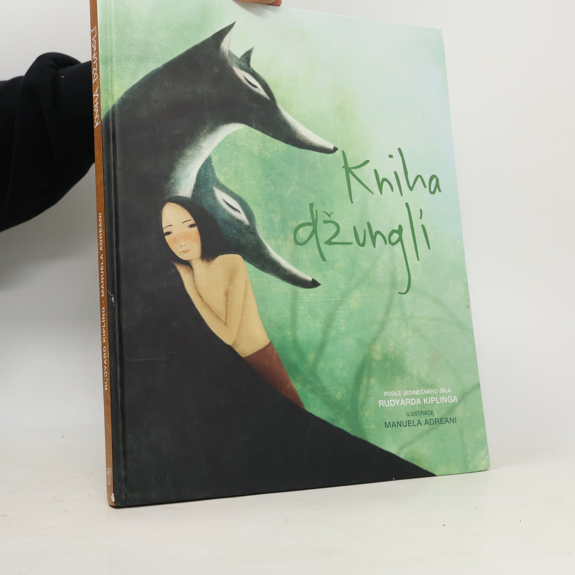 Rudyard Kipling Kniha džunglí (převyprávění)