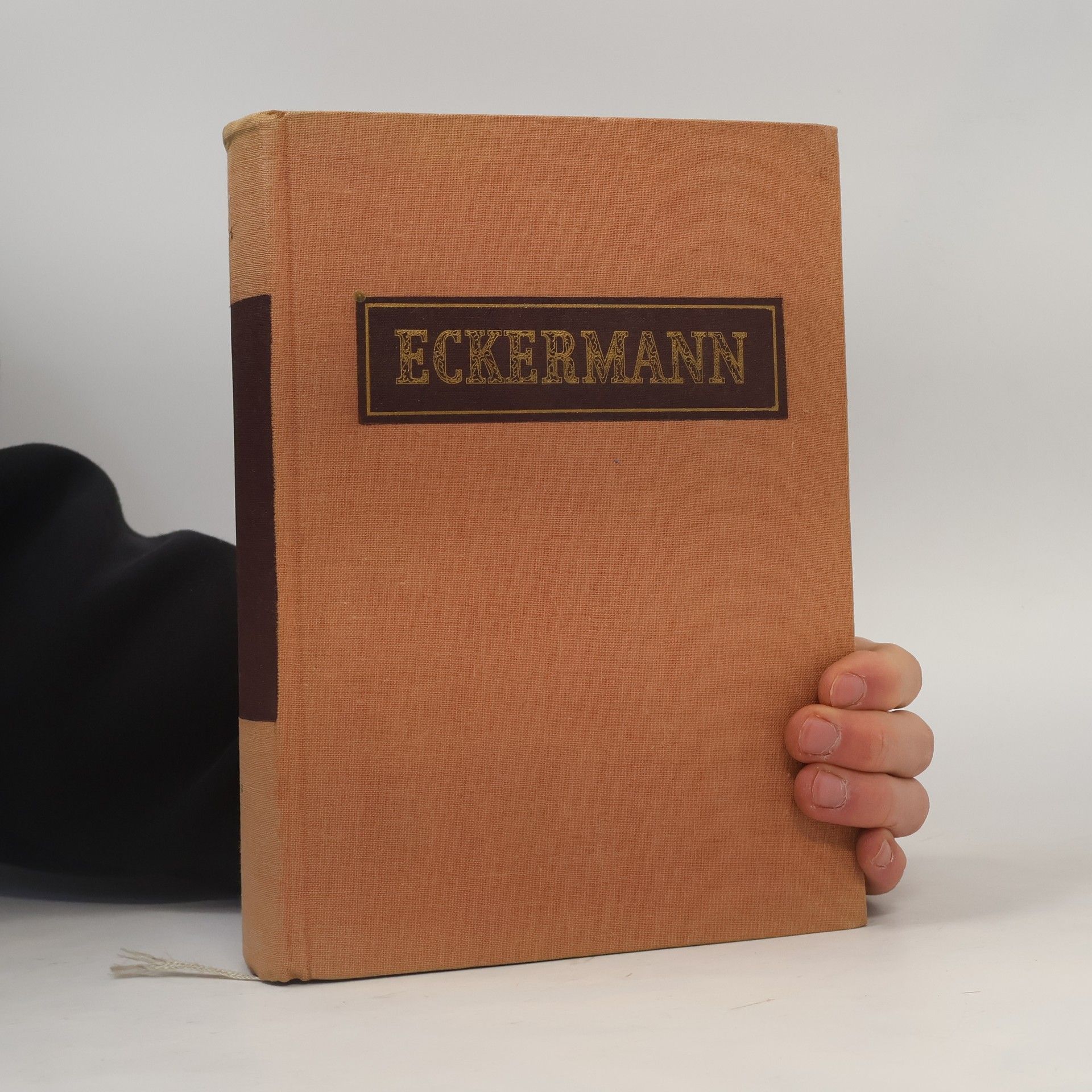Johann Peter Eckermann Rozhovory s Goethem