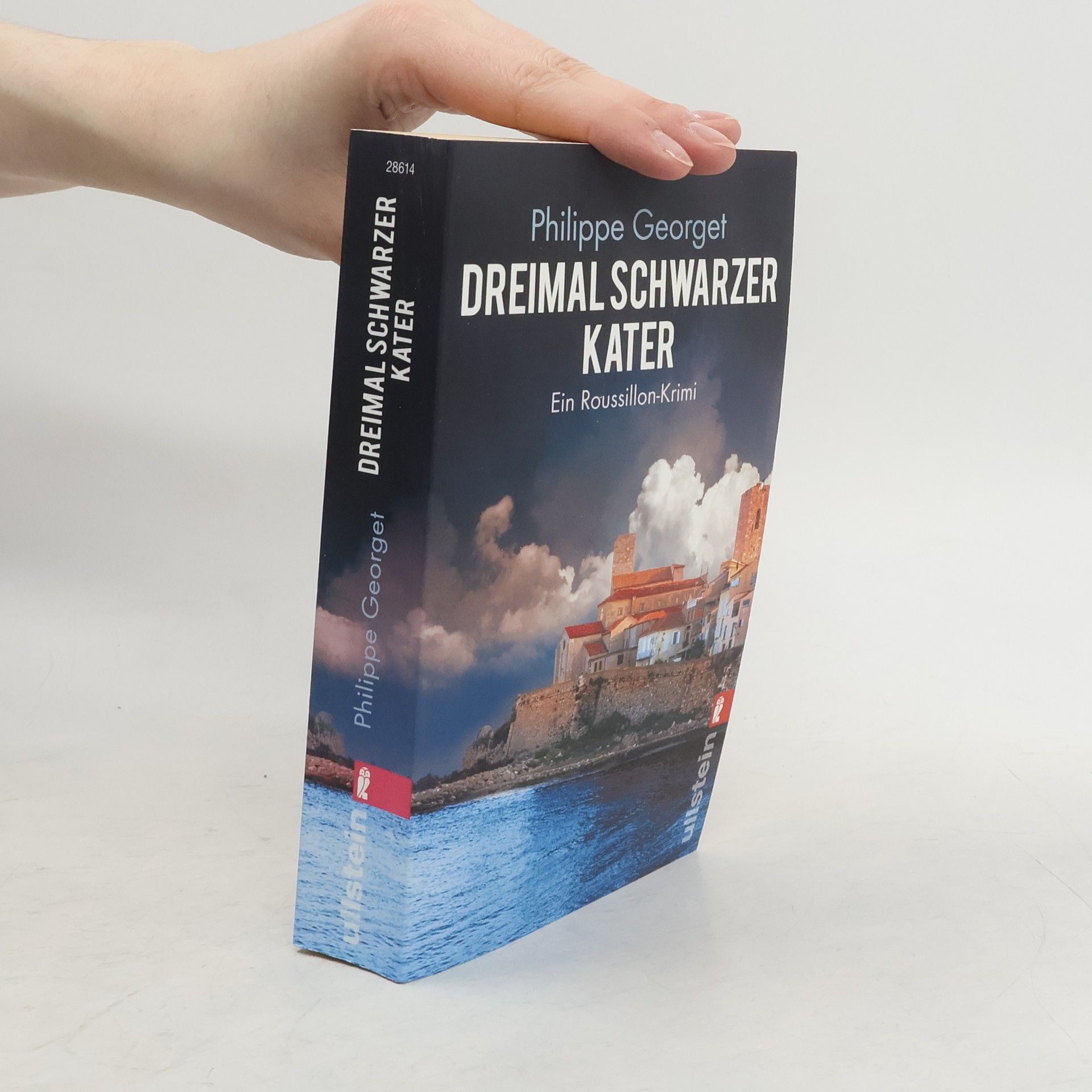 Philippe Georget Dreimal schwarzer Kater