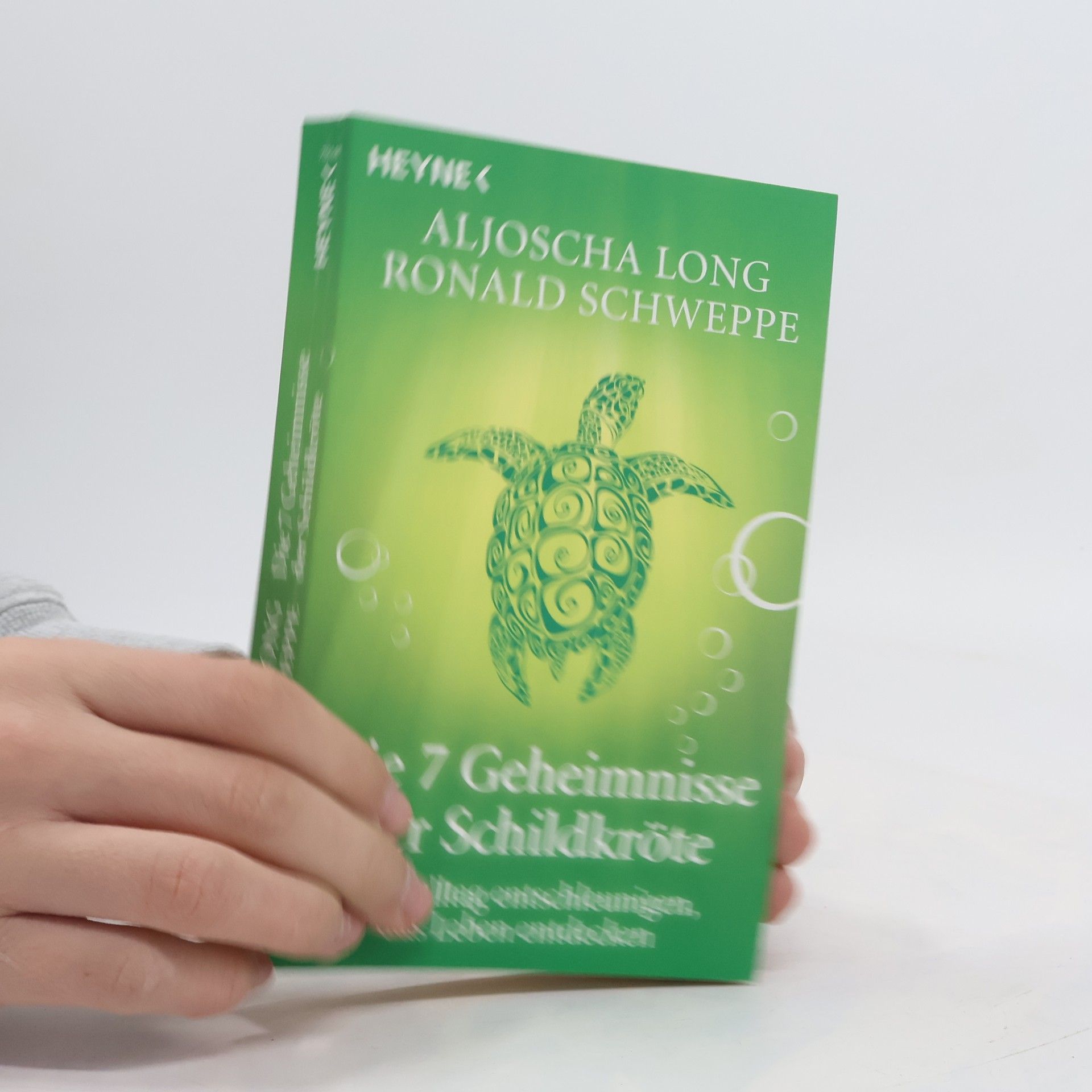 Aljoscha Long Die 7 Geheimnisse der Schildkröte