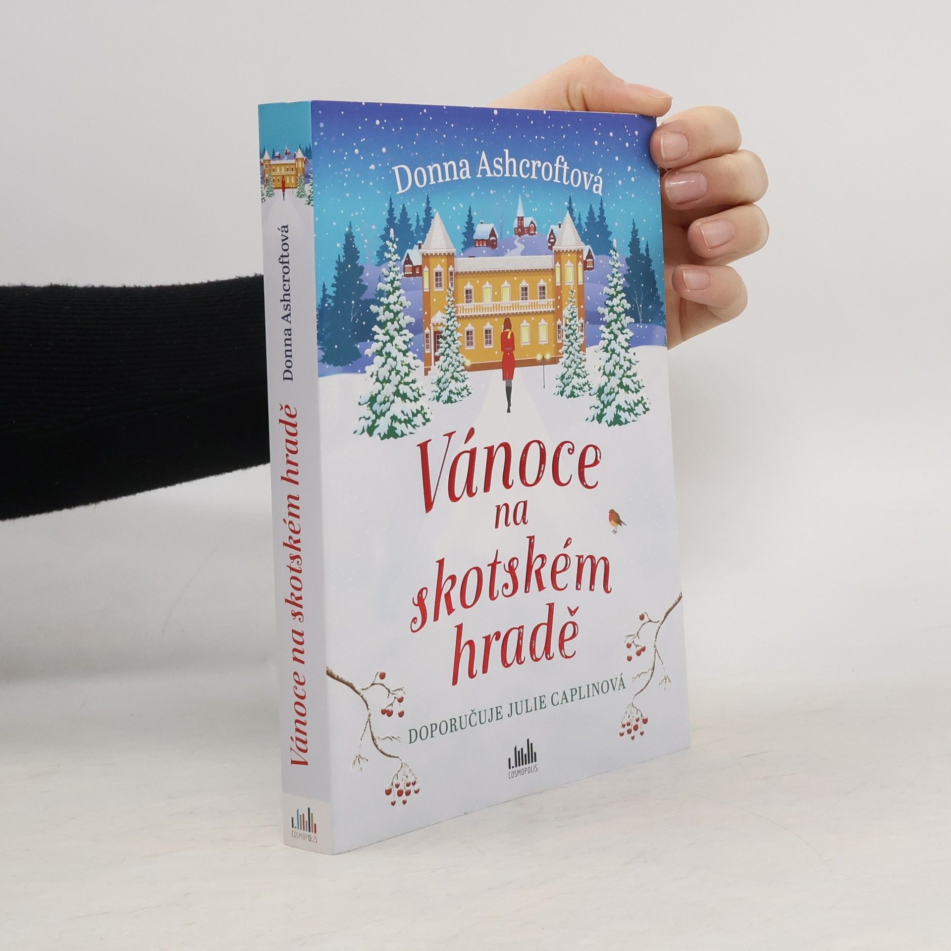 Donna Ashcroft Vánoce na skotském hradě