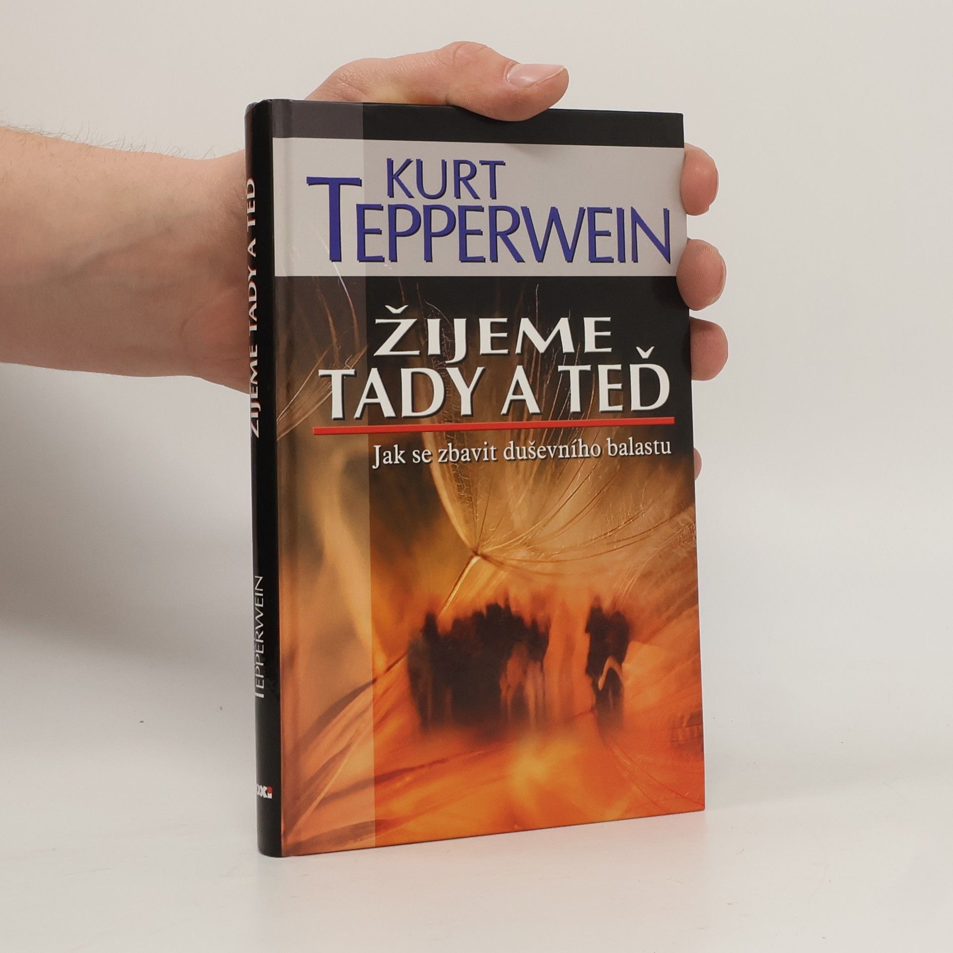 Kurt Tepperwein Žijeme tady a teď : jak se zbavit duševního balastu