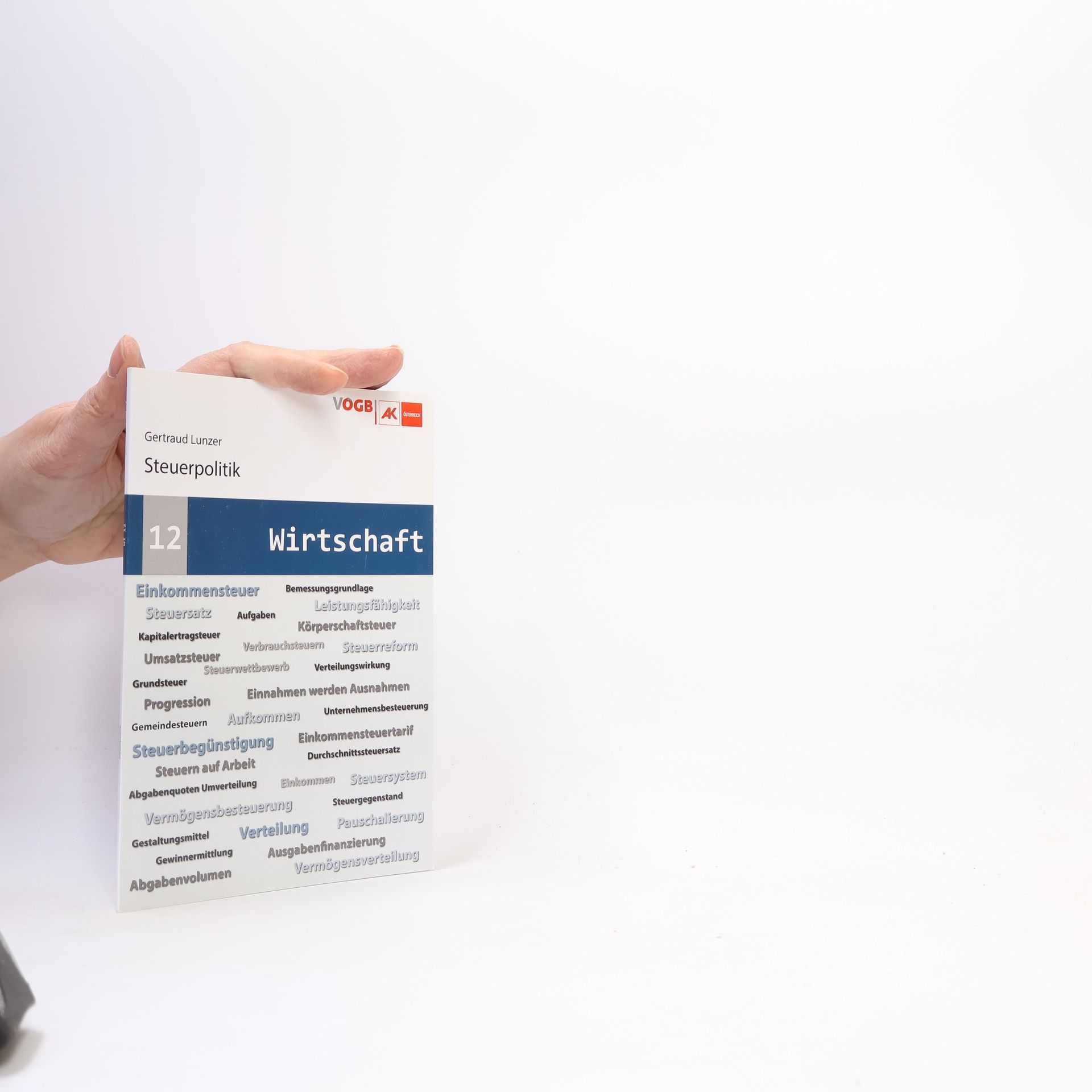 Gertraud Lunzer Steuerpolitik 12. Wirtschaft