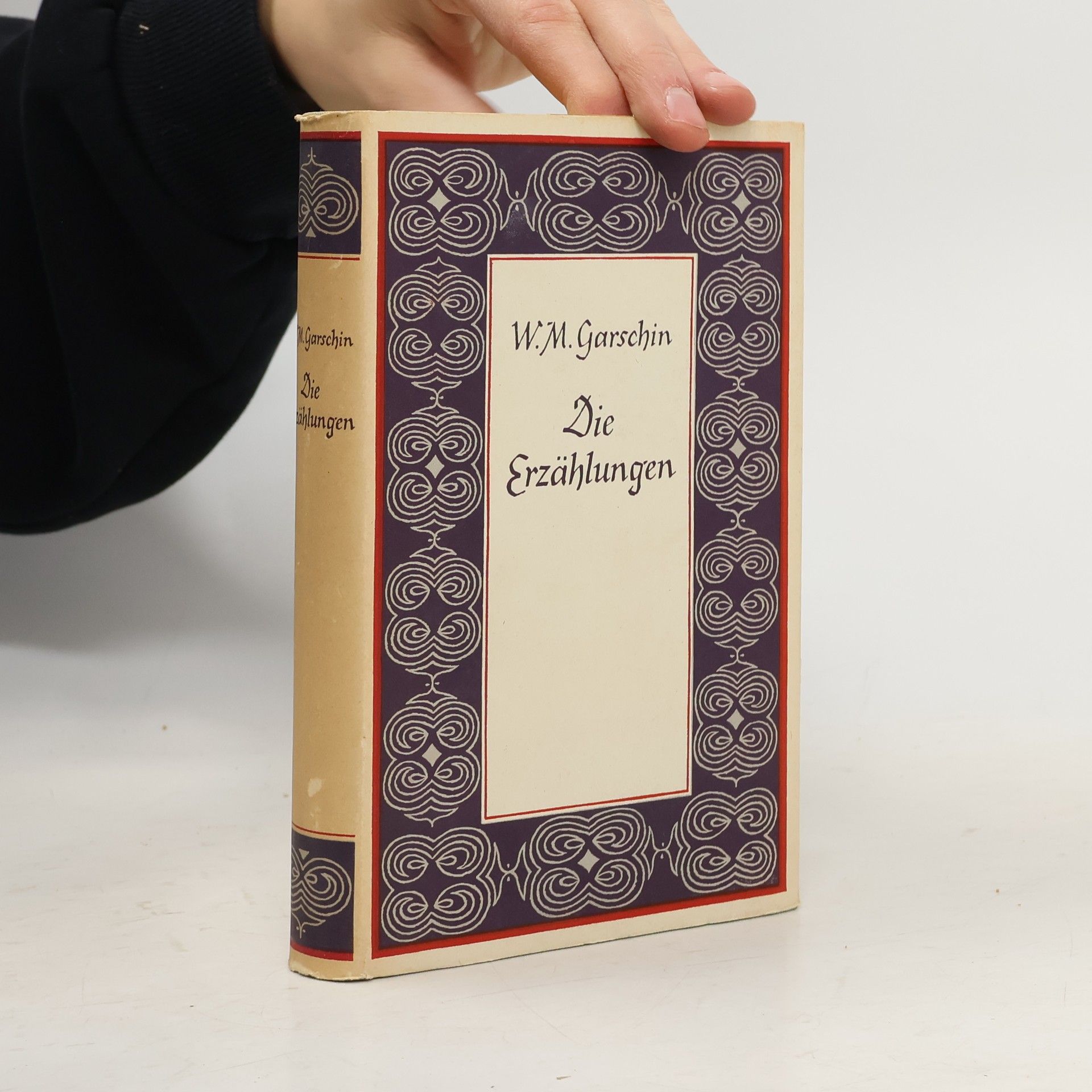Wsewolod Garschin Die Erzählungen