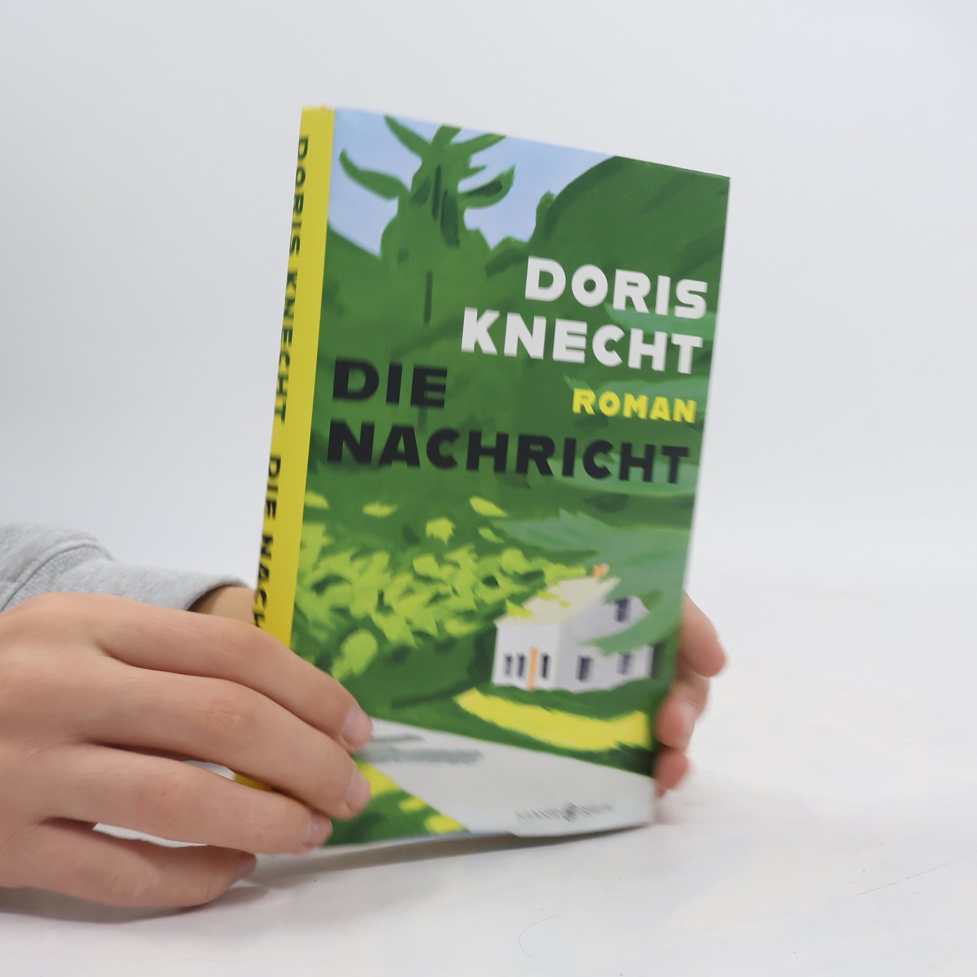 Doris Knecht Die Nachricht