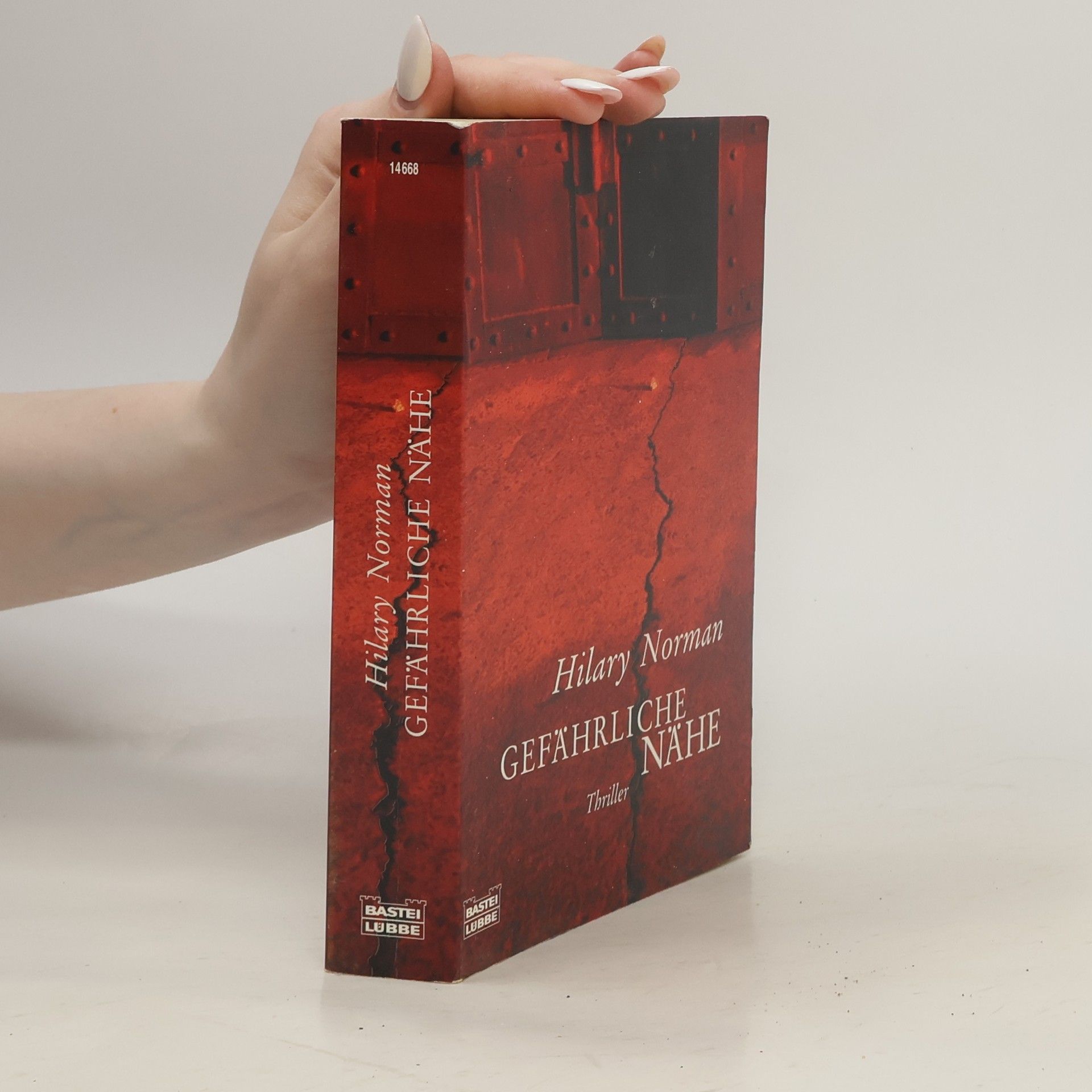 Hilary Norman Gefährliche Nähe