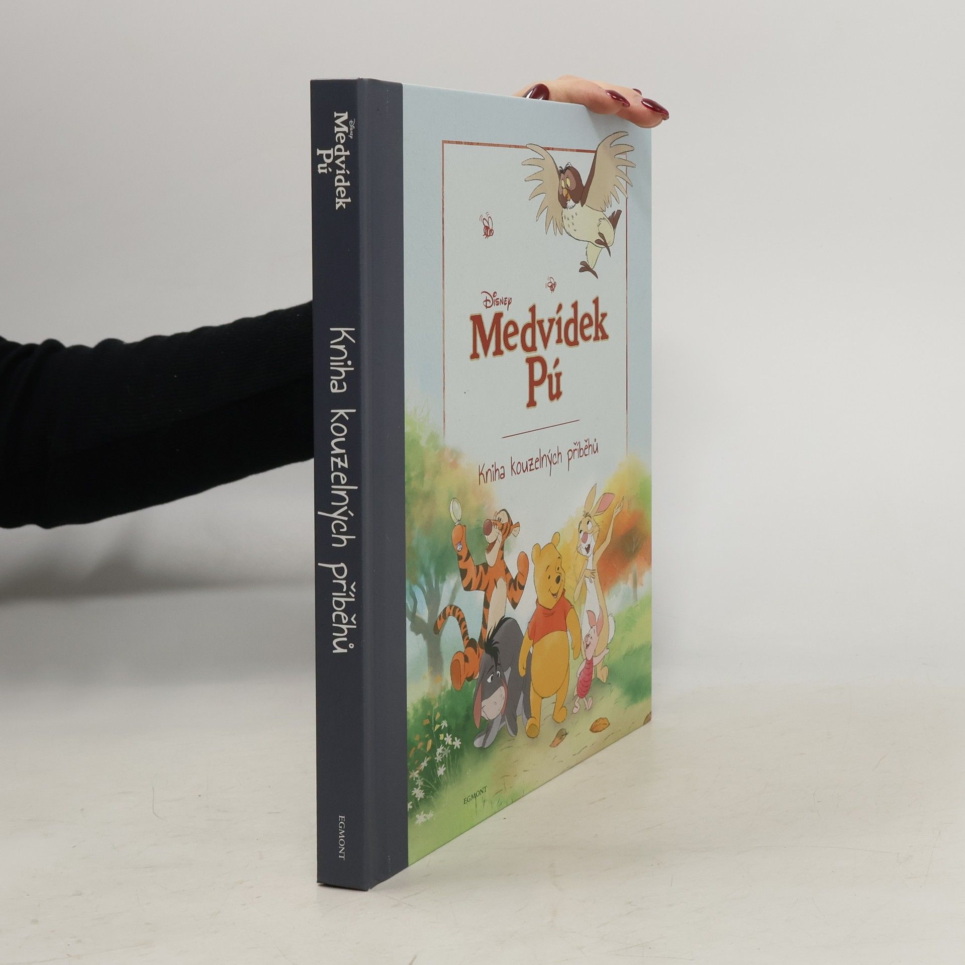 Nancy Parent Kniha kouzelných příběhů