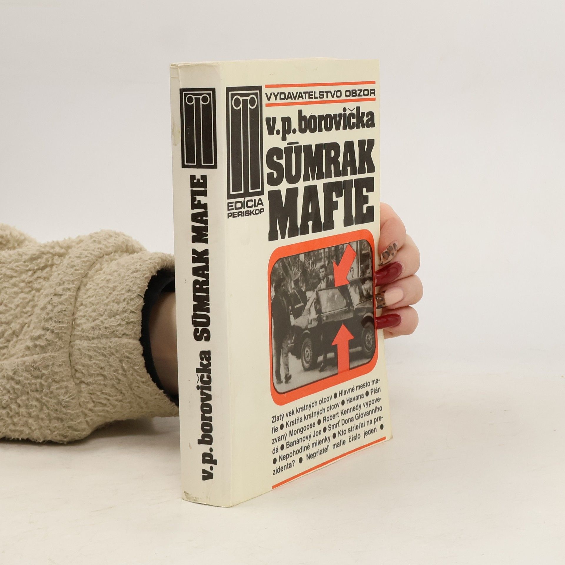 Václav Pavel Borovička Súmrak mafie