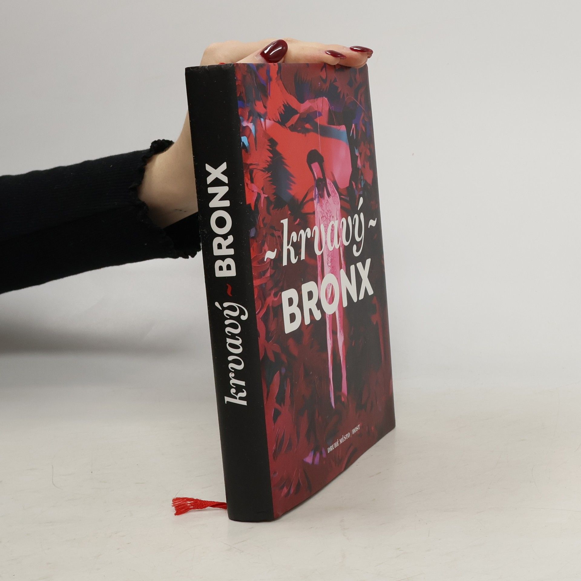 Collectif d'auteurs Krvavý Bronx