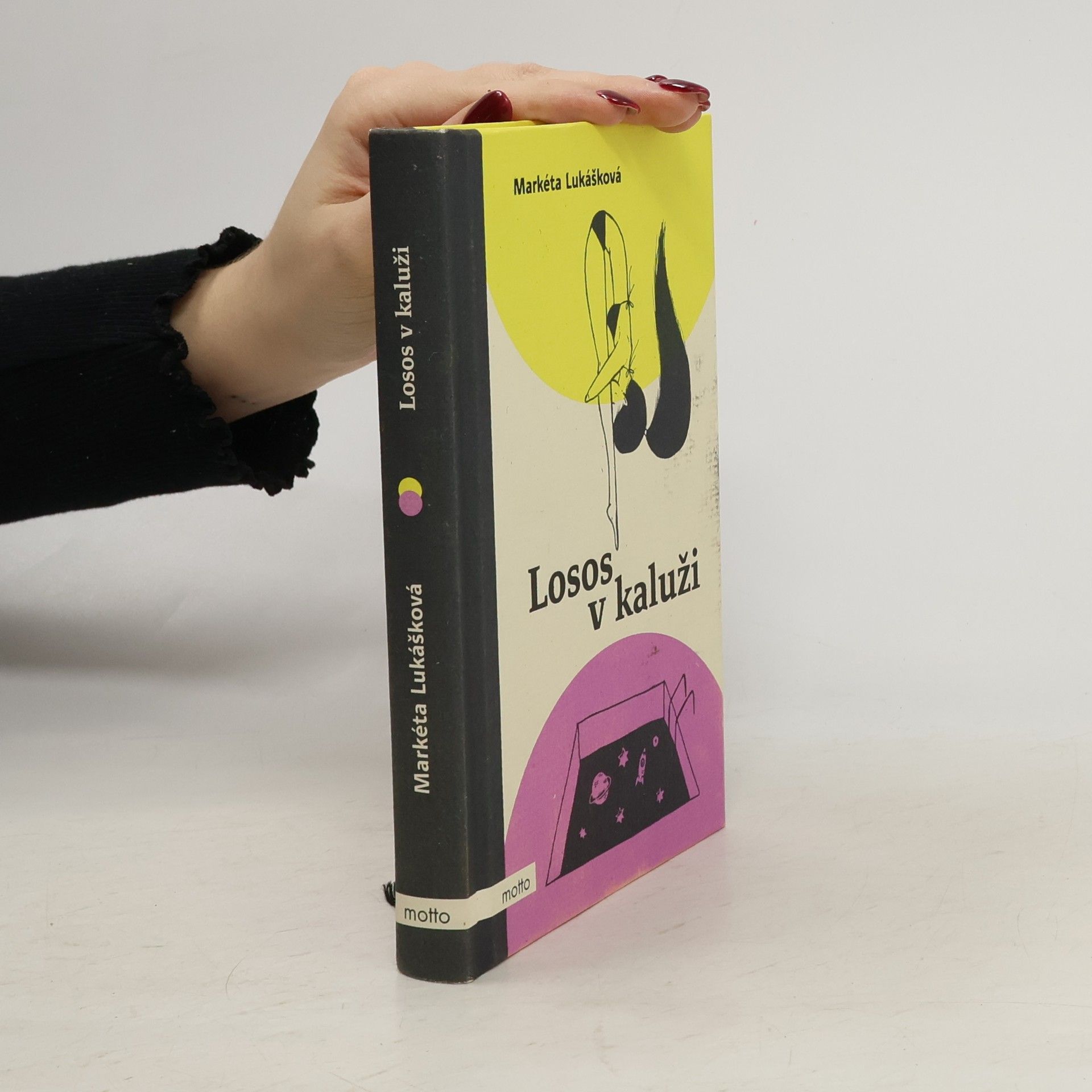 Markéta Lukášková Losos v kaluži