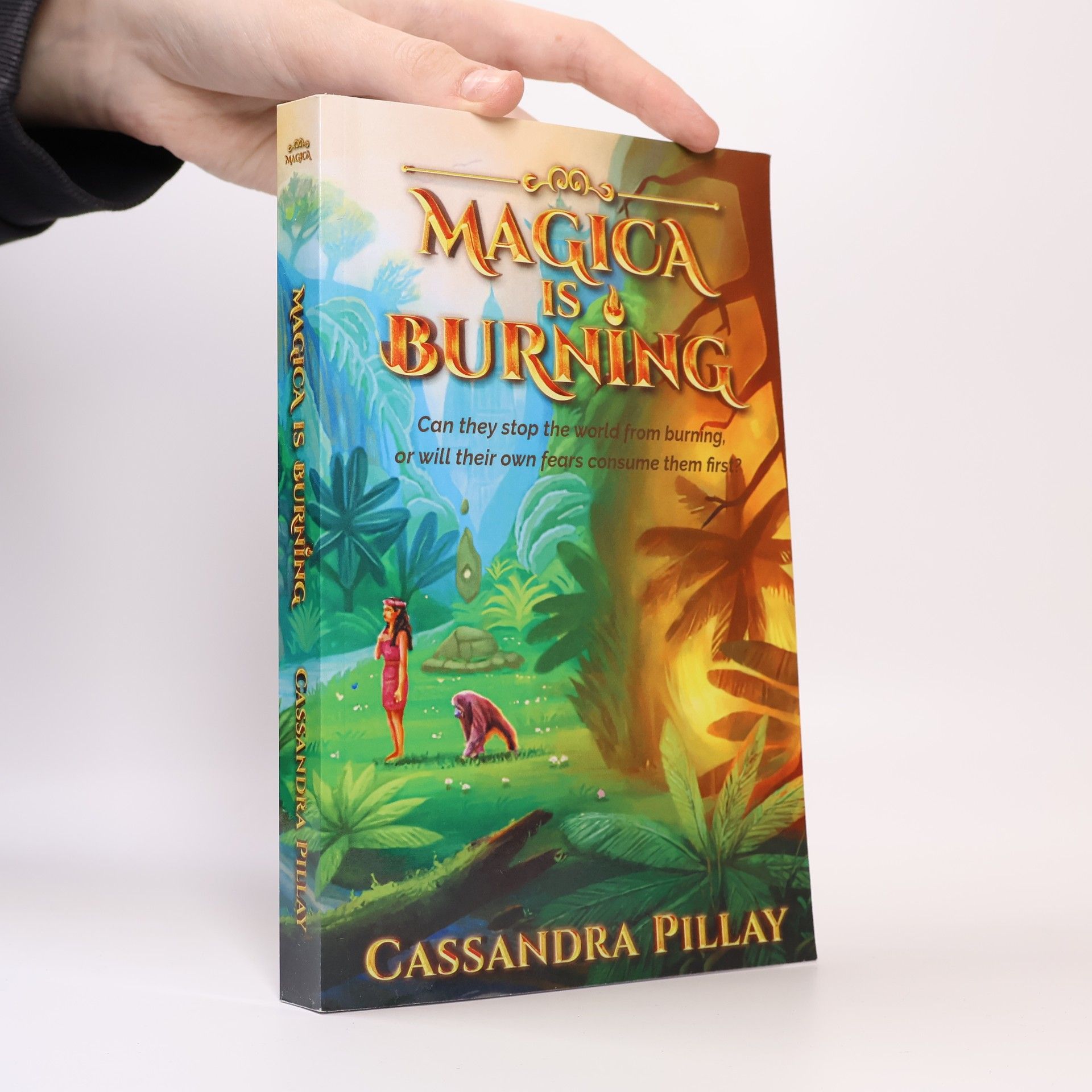 Cassandra Pillay Magica Is Burning