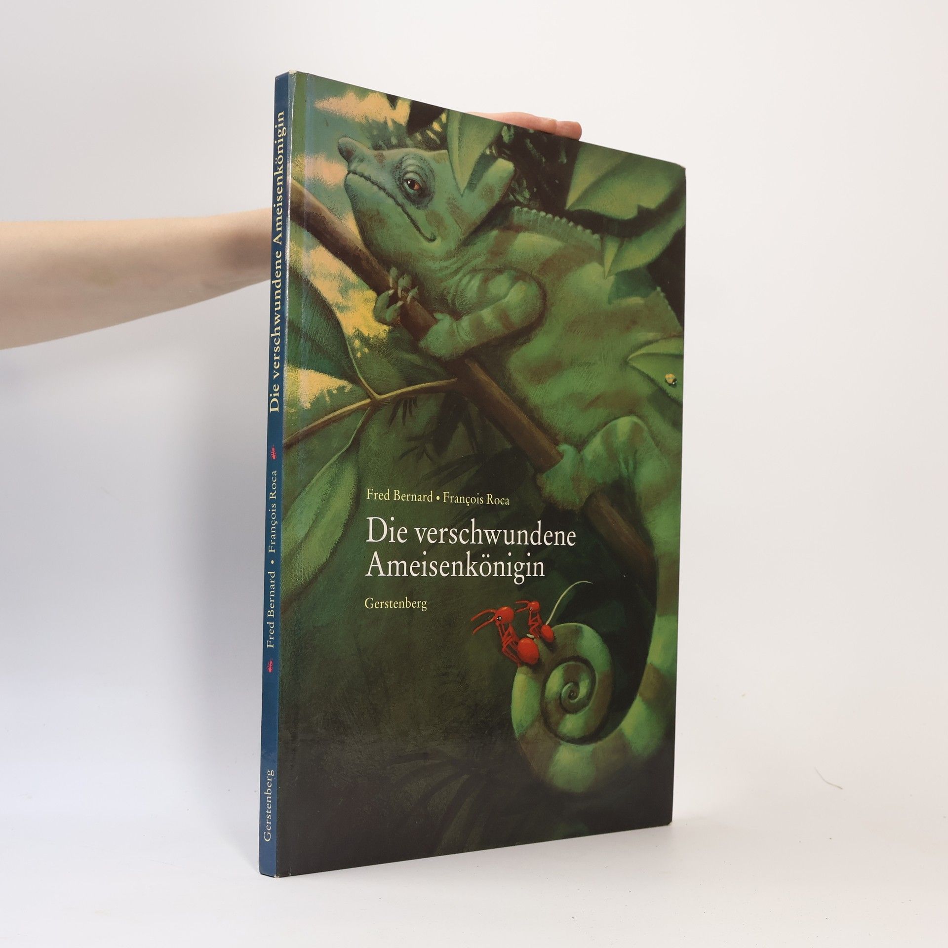 Fred Bernard Die verschwundene Ameisenkönigin