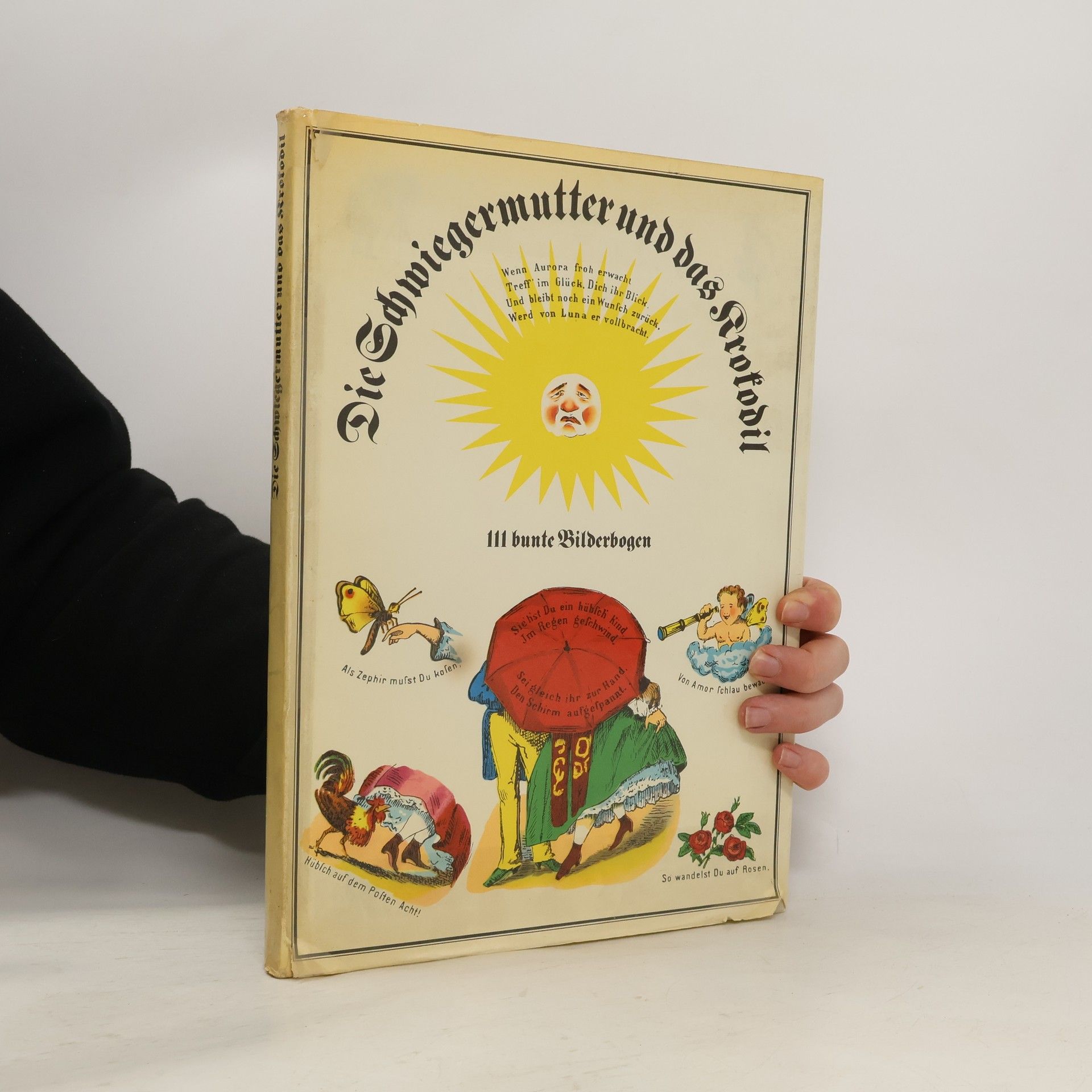 Autorenkollektiv Die Schwiegermutter und das Krokodil