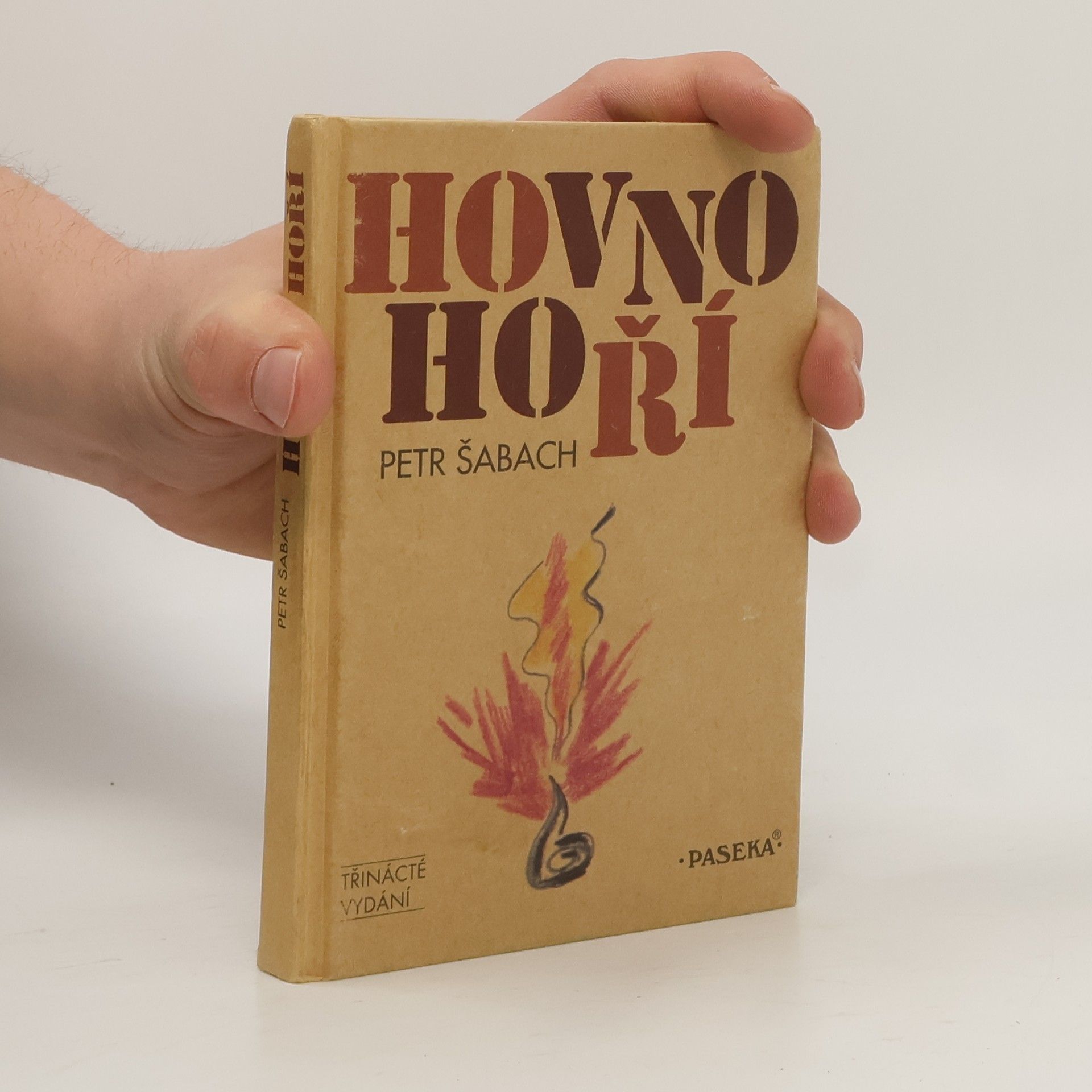 Petr Šabach Hovno hoří