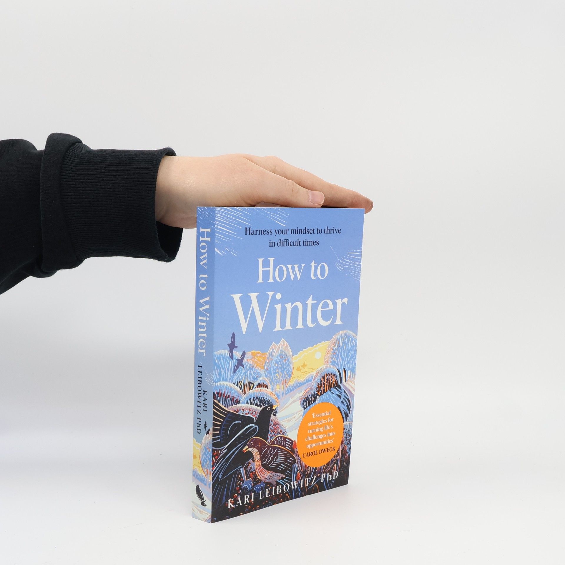 Carol Dweck How to Winter