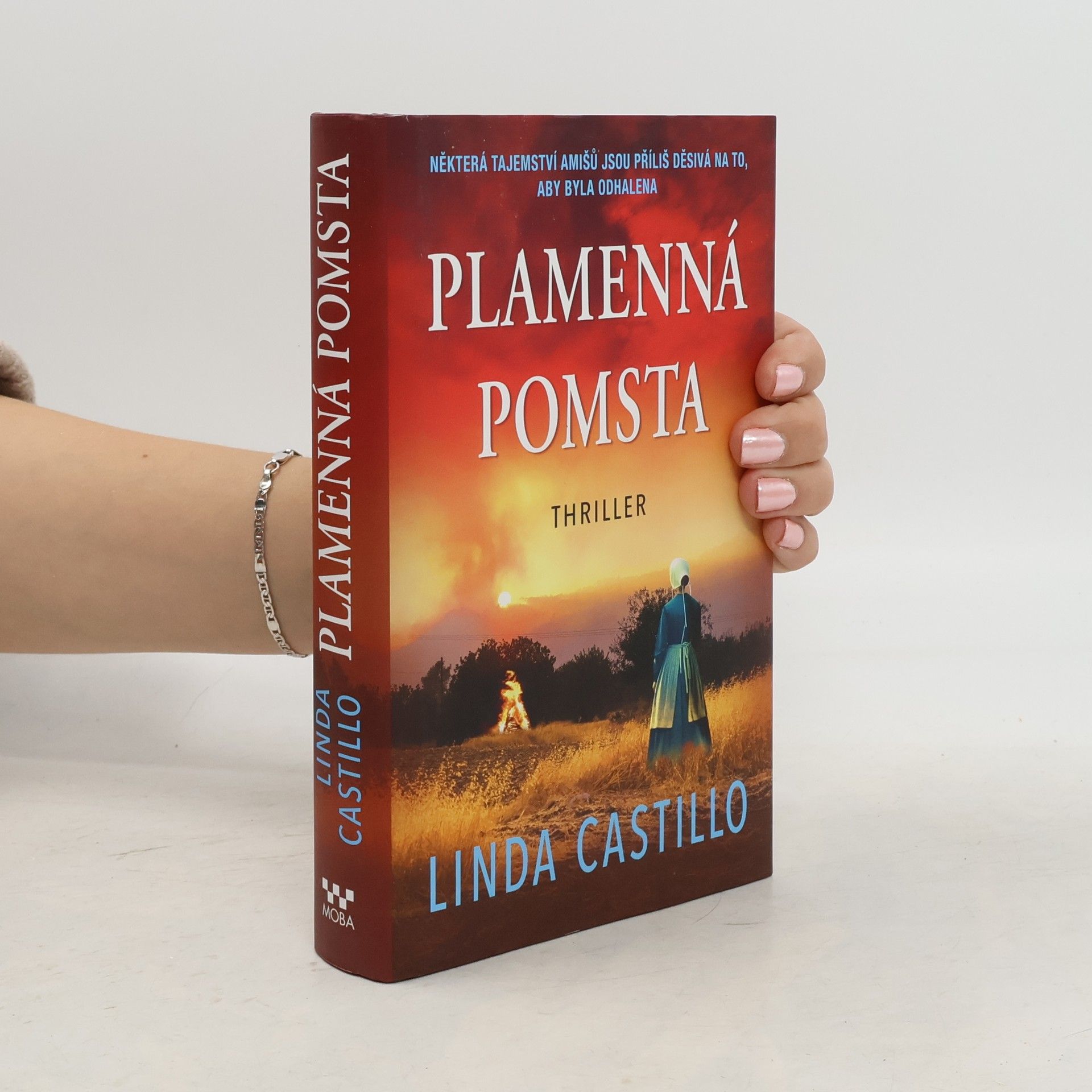 Linda Castillo Plamenná pomsta