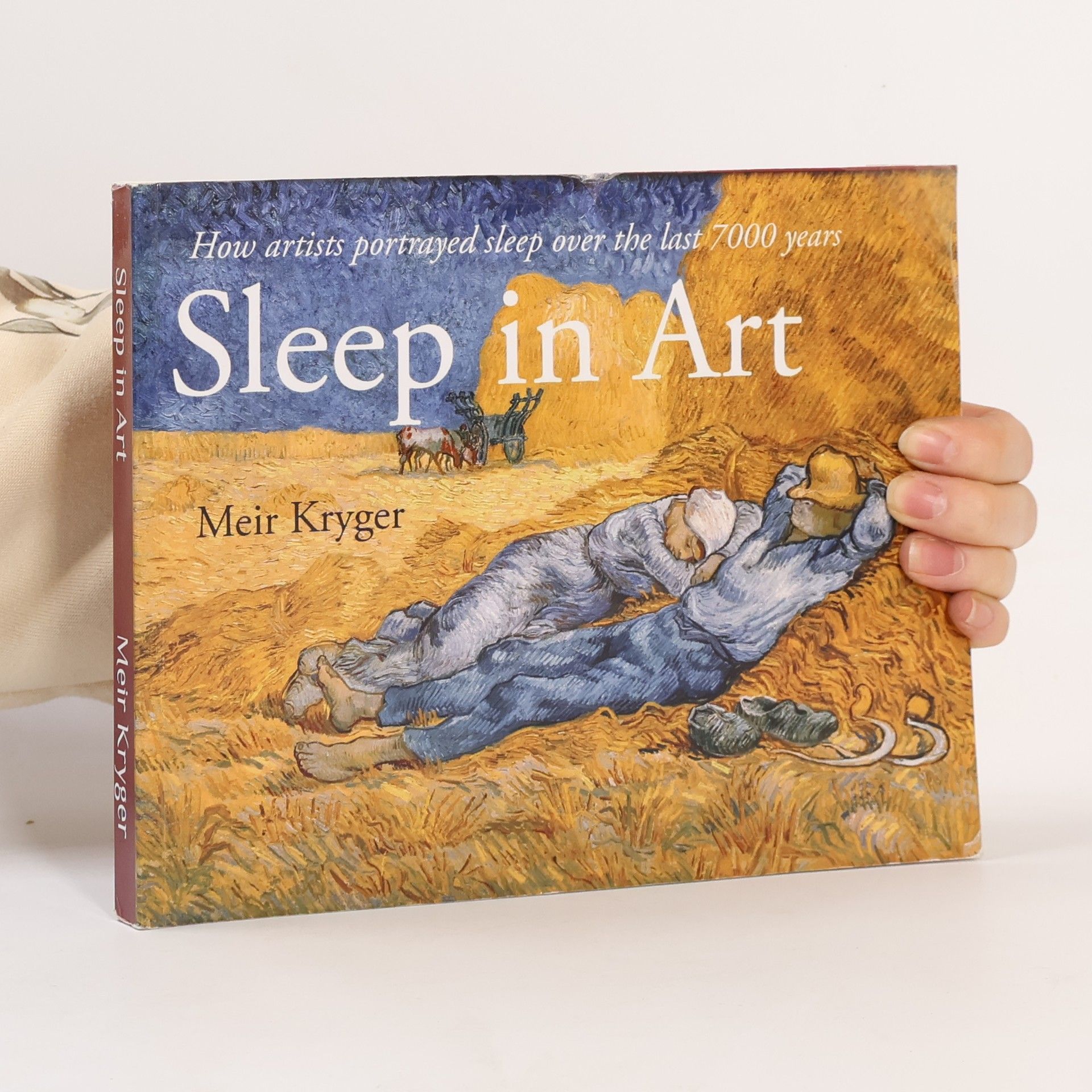 Meir H. Kryger Sleep in Art