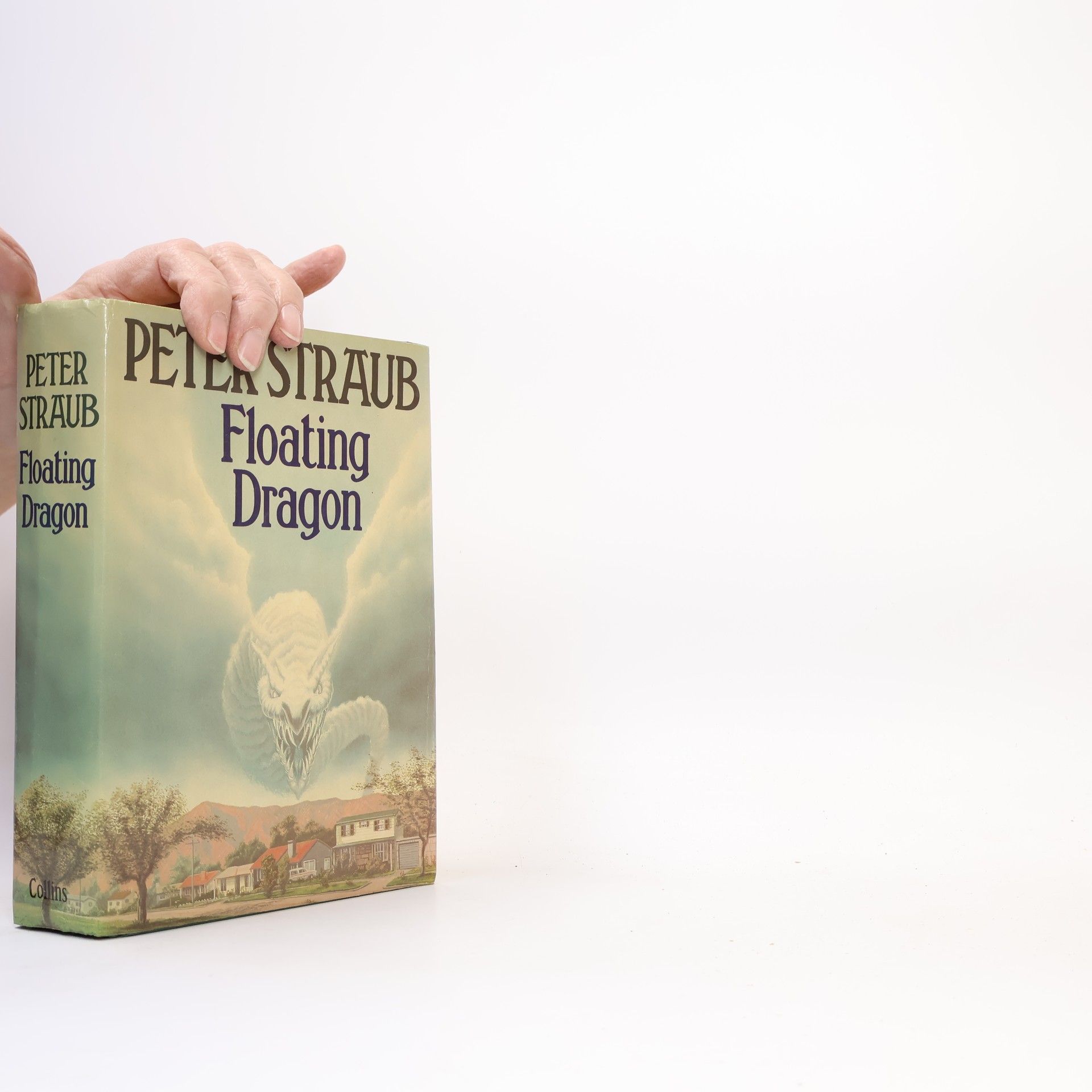 Peter Straub Floating Dragon