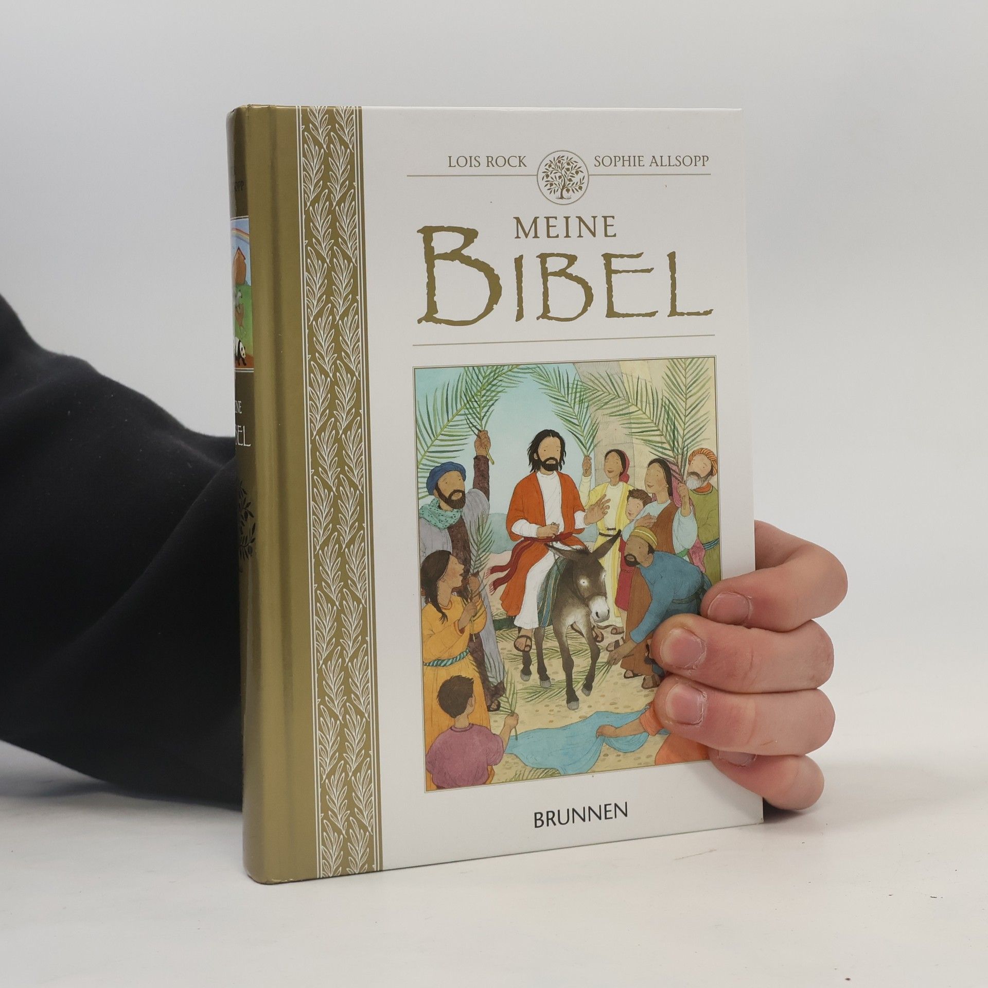 Lois Rocková Meine Bibel