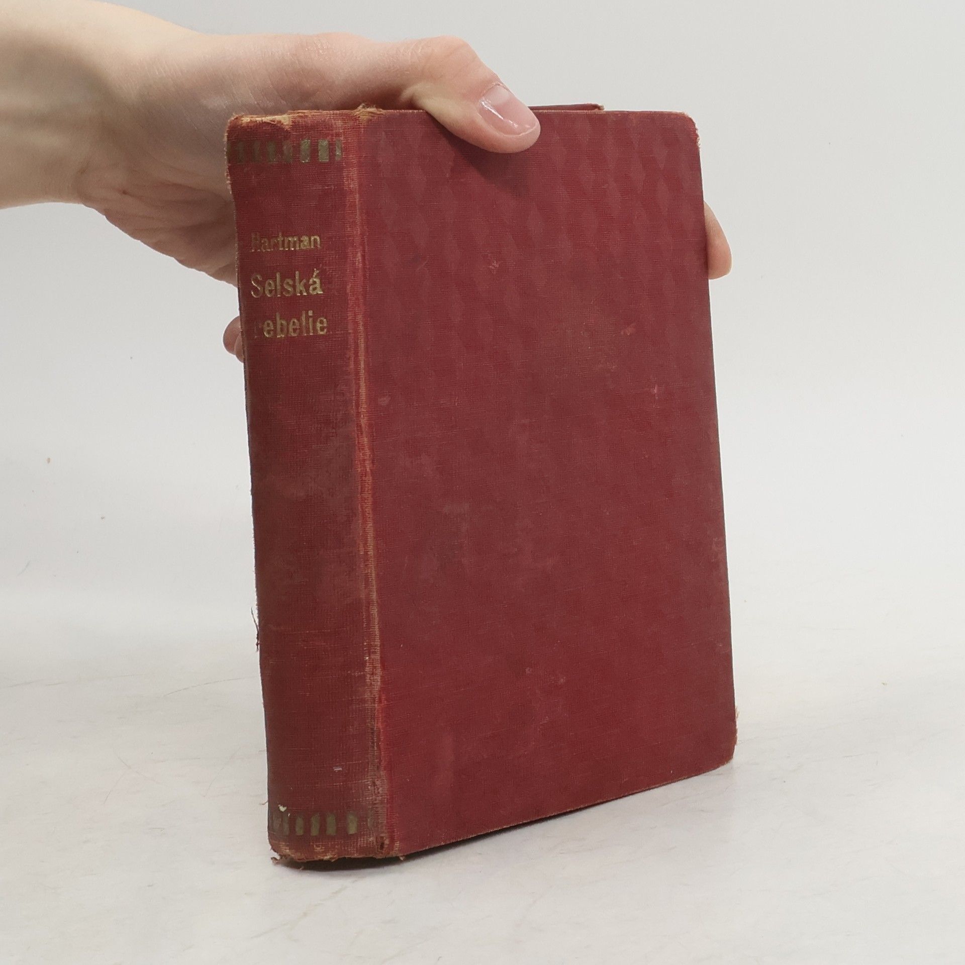 Moritz Hartmann Selská rebelie