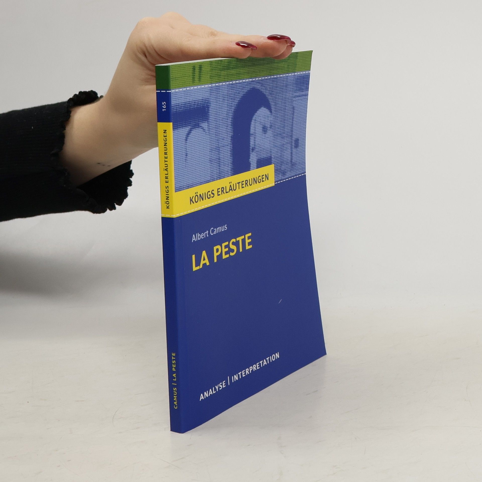 Martin Lowsky Königs Erläuterungen - Albert Camus