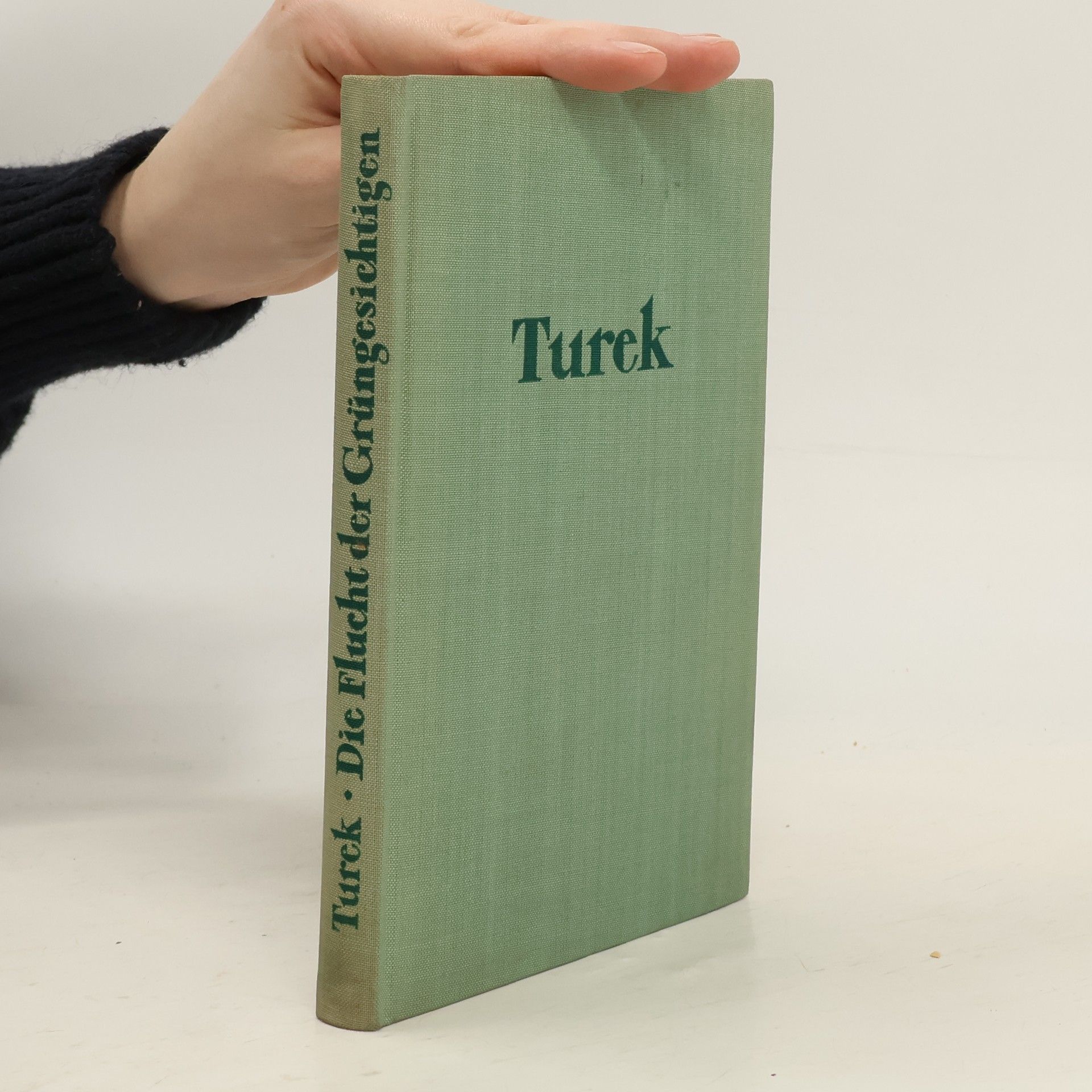 Ludwig Turek Die Flucht der Grungesichtigen