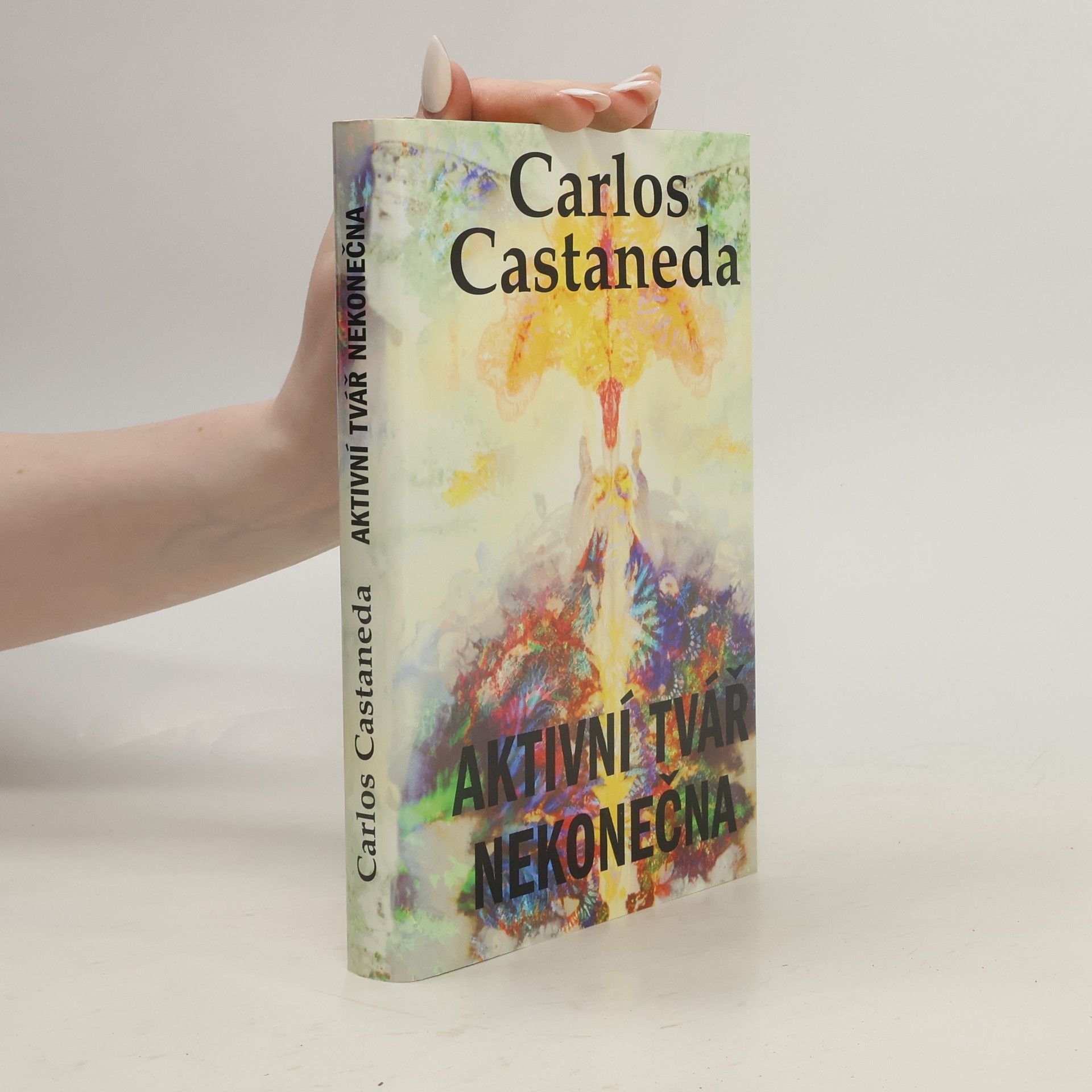 Carlos Castaneda Aktivní tvář nekonečna